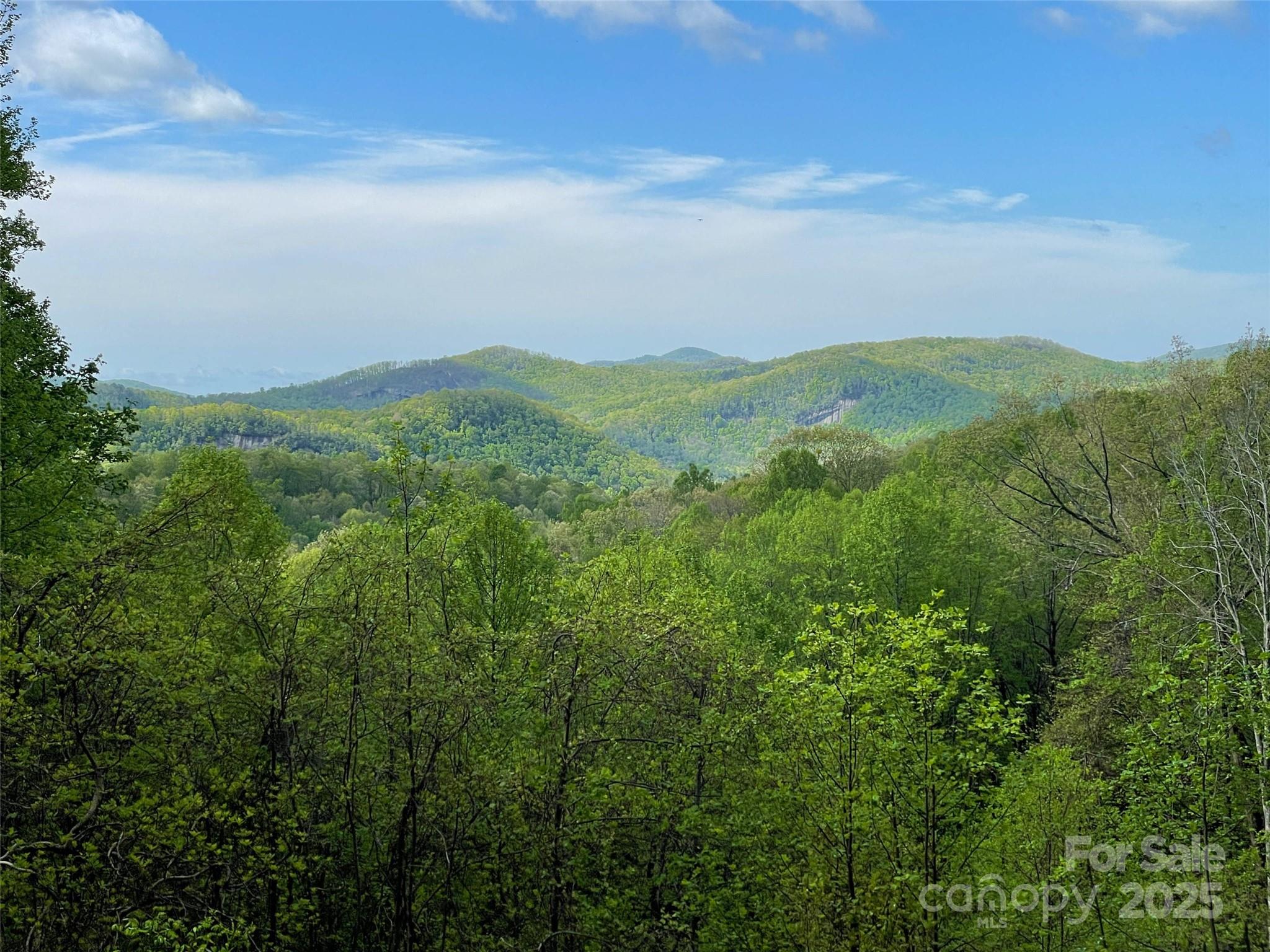 OFF Pine Mountain Drive