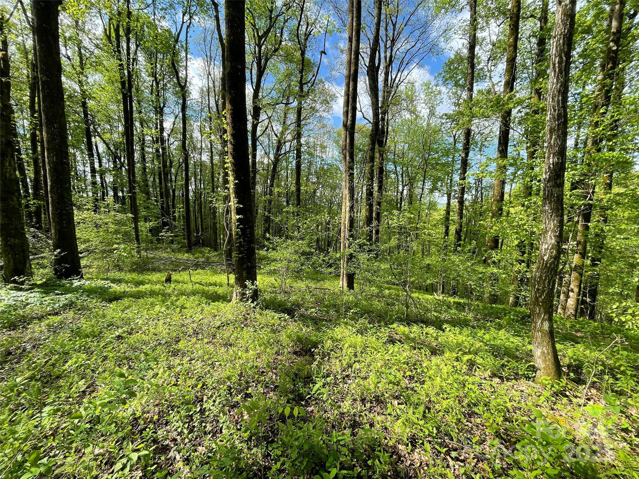 OFF Pine Mountain Drive