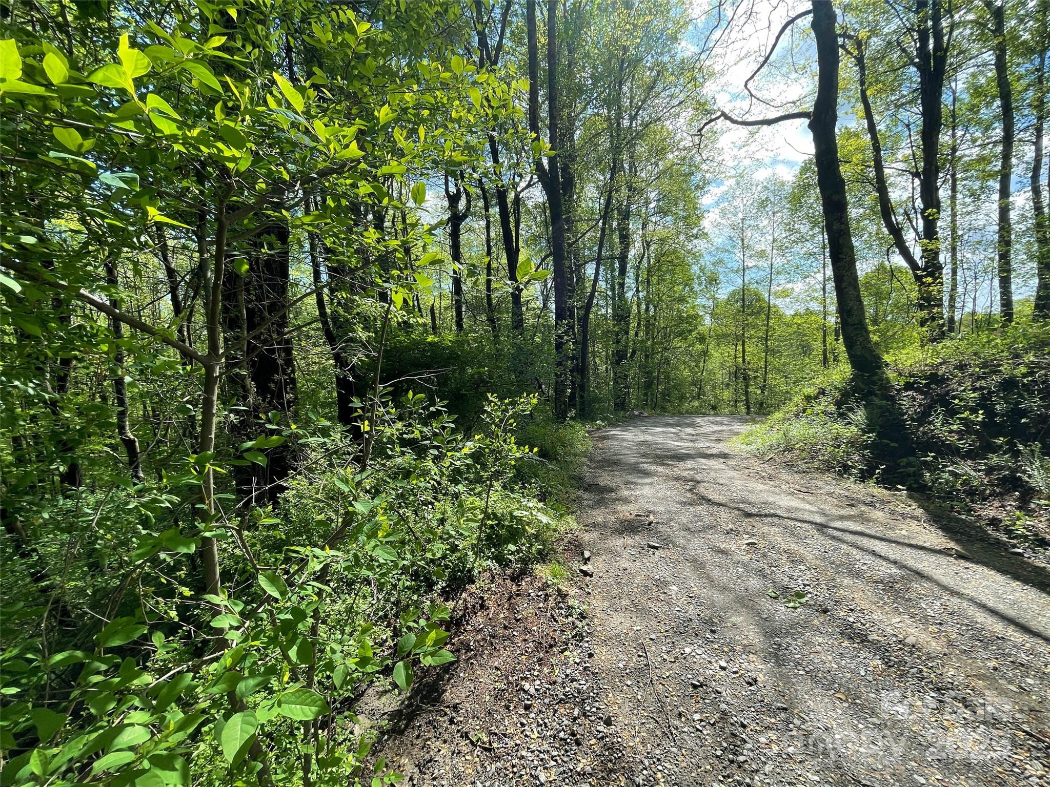 OFF Pine Mountain Drive