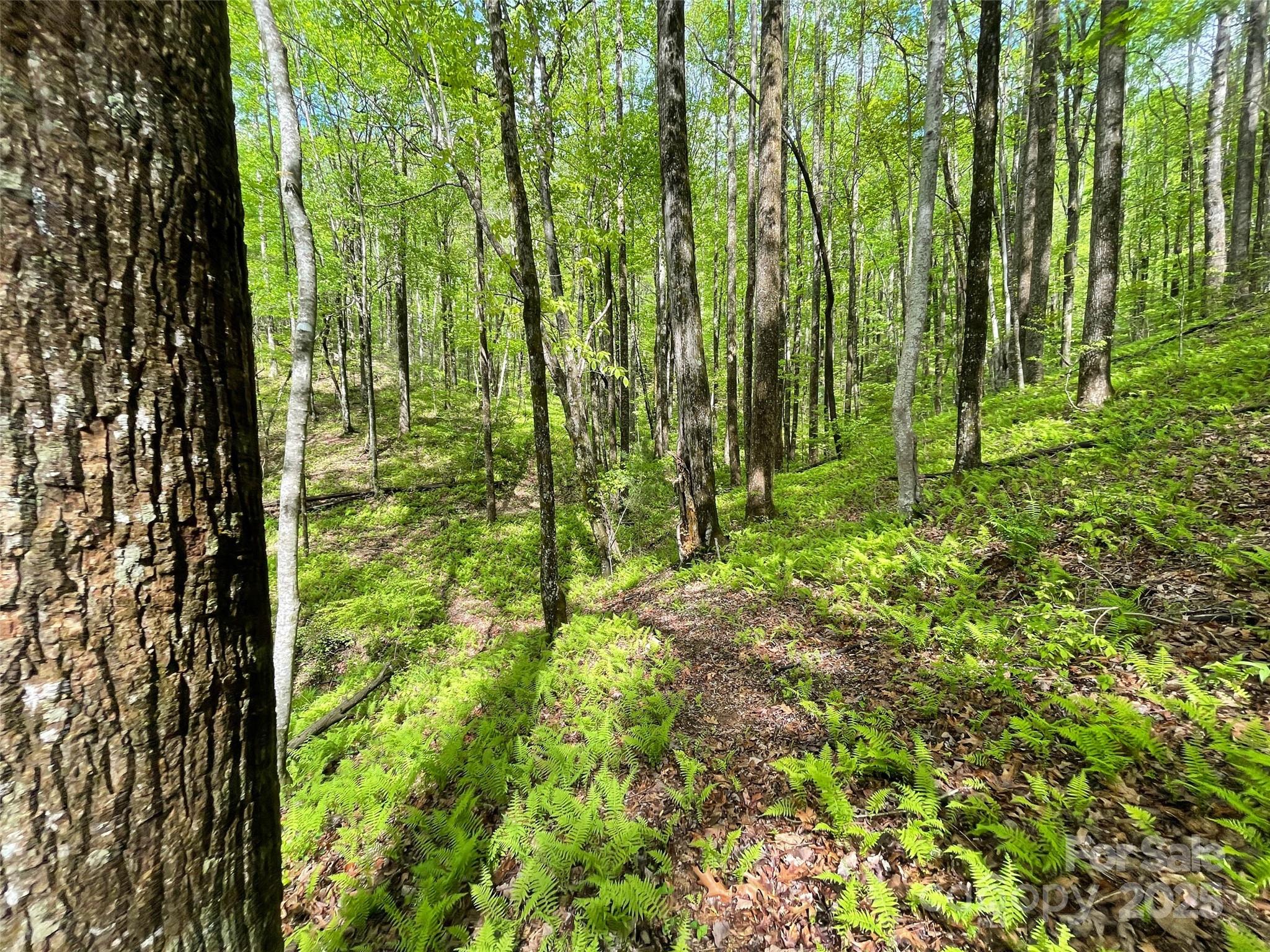 OFF Pine Mountain Drive