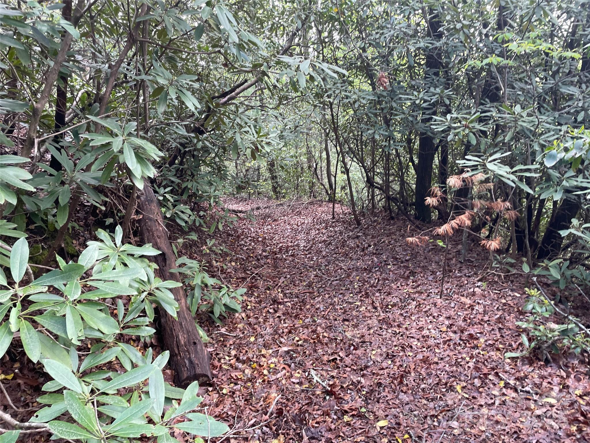 OFF Pine Mountain Drive