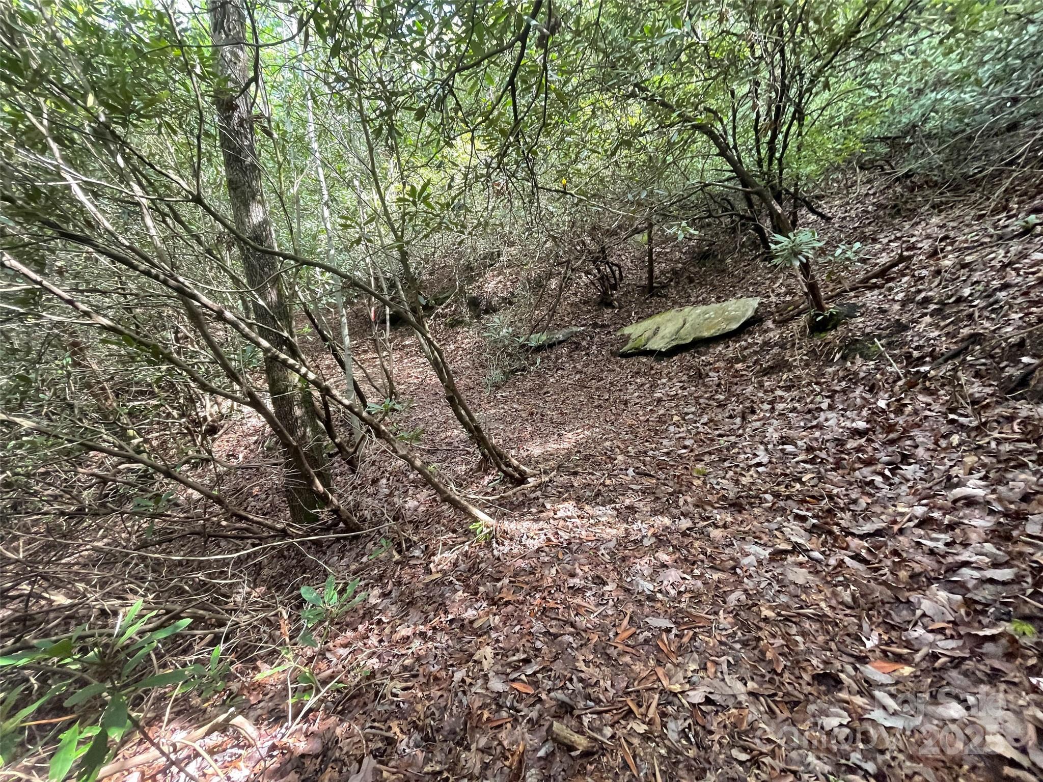OFF Pine Mountain Drive