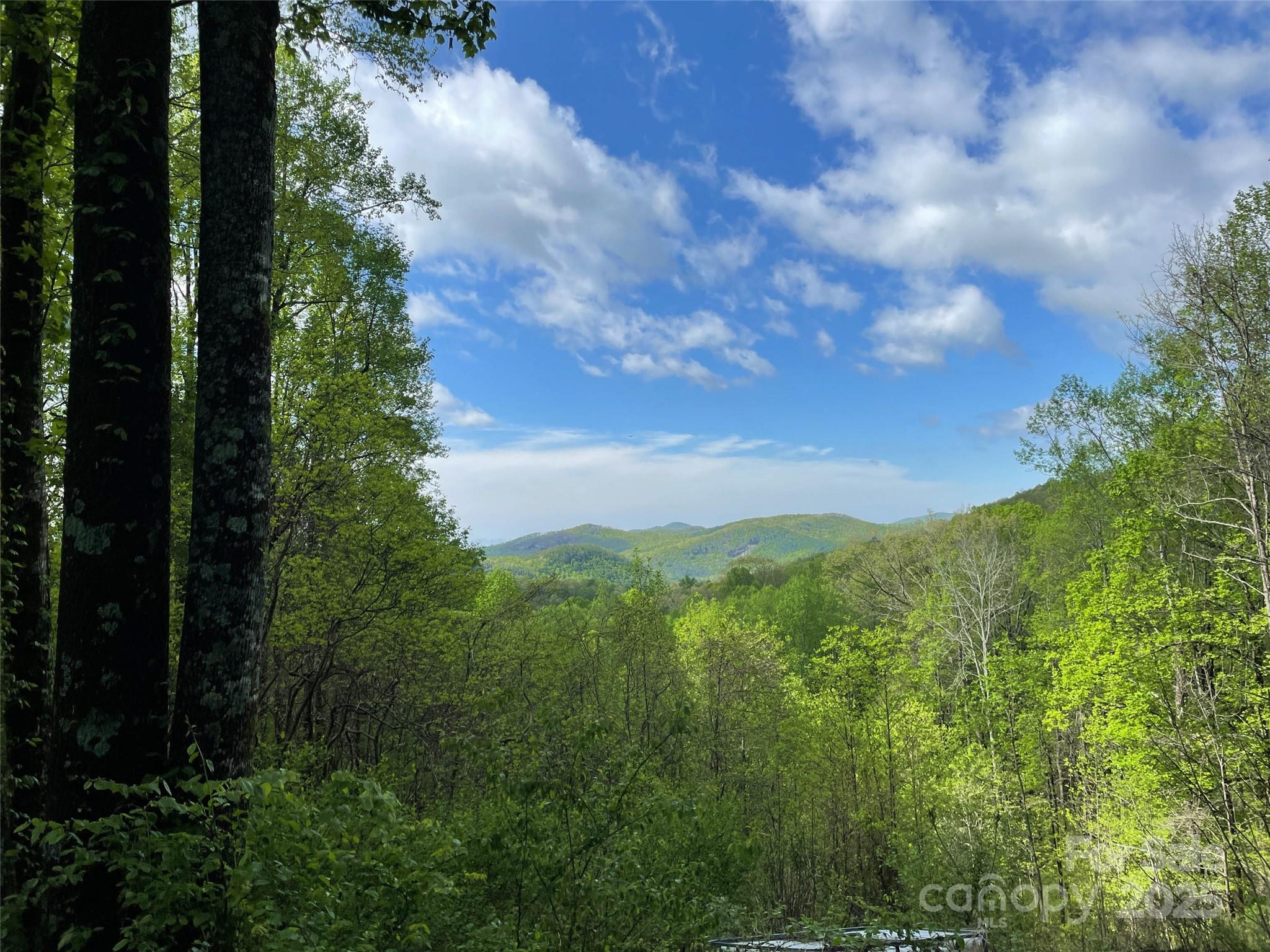 OFF Pine Mountain Drive
