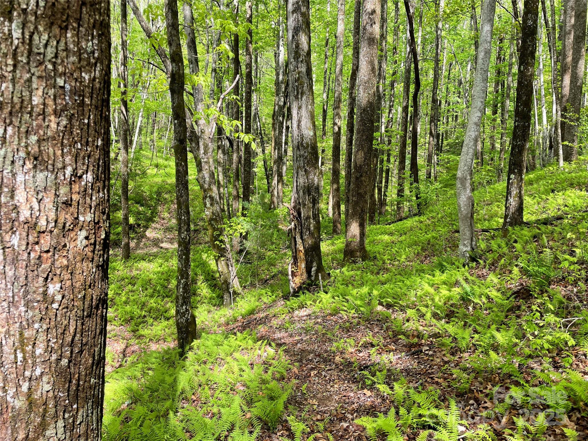 OFF Pine Mountain Drive