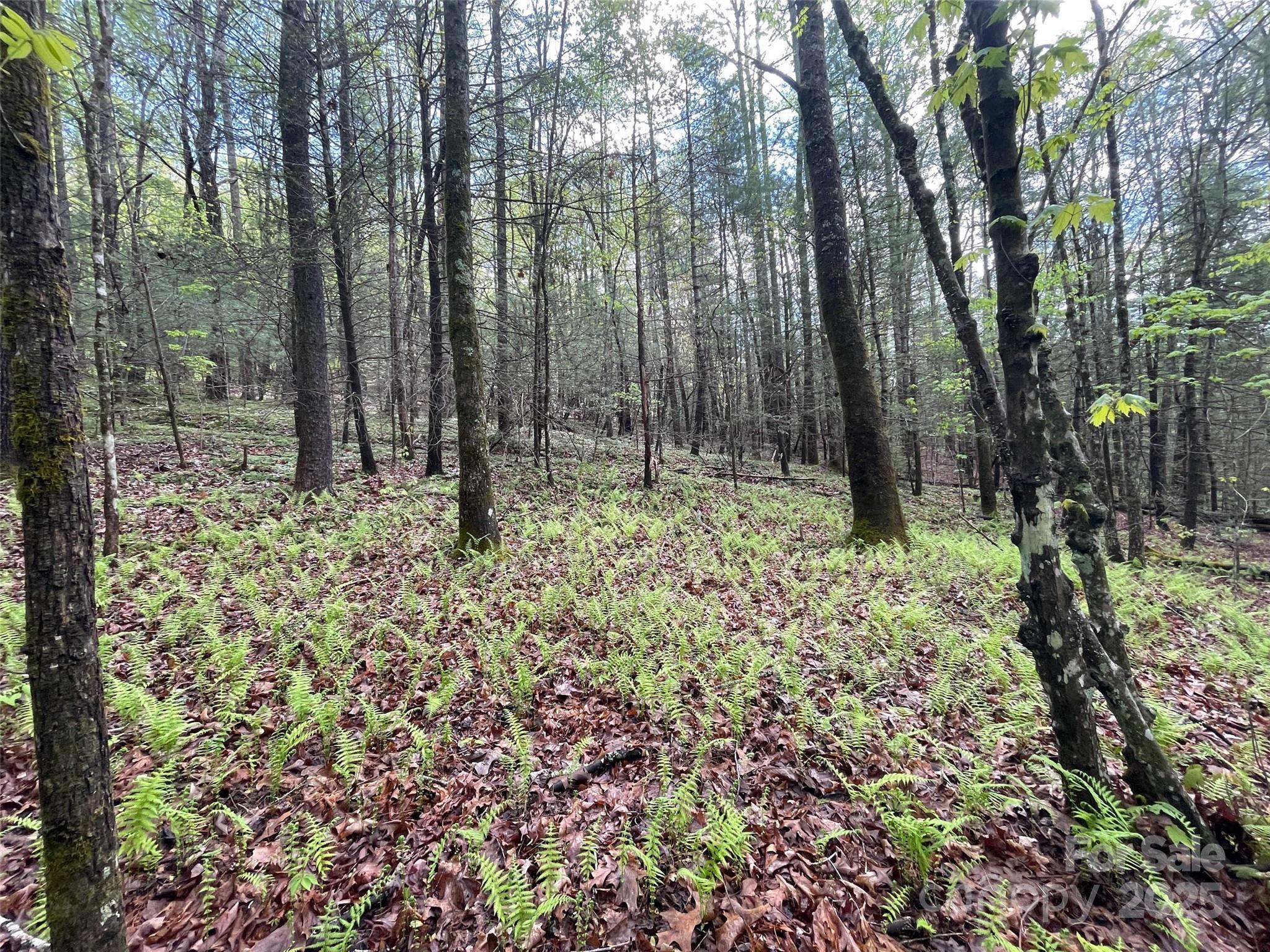 OFF Pine Mountain Drive