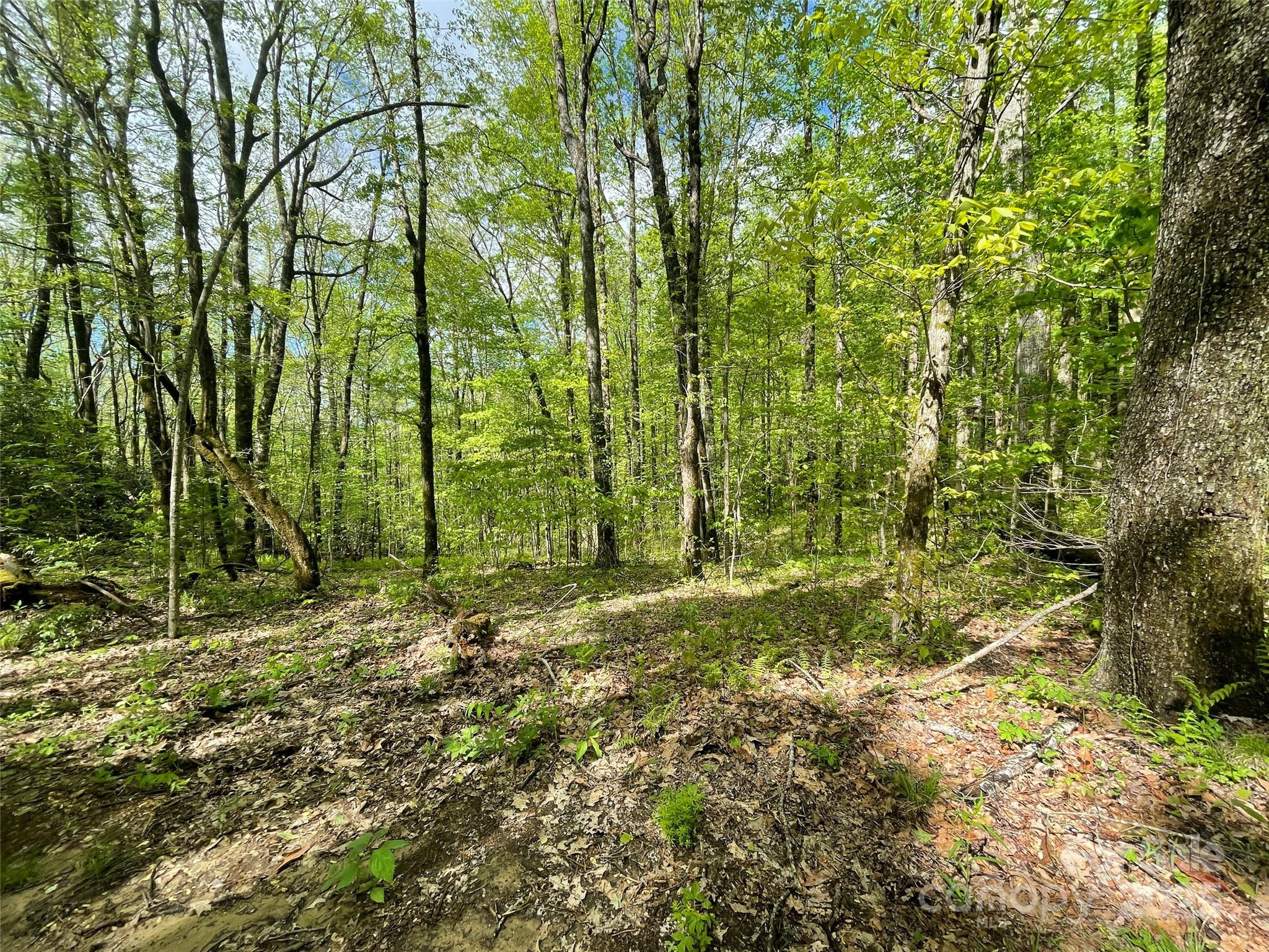OFF Pine Mountain Drive