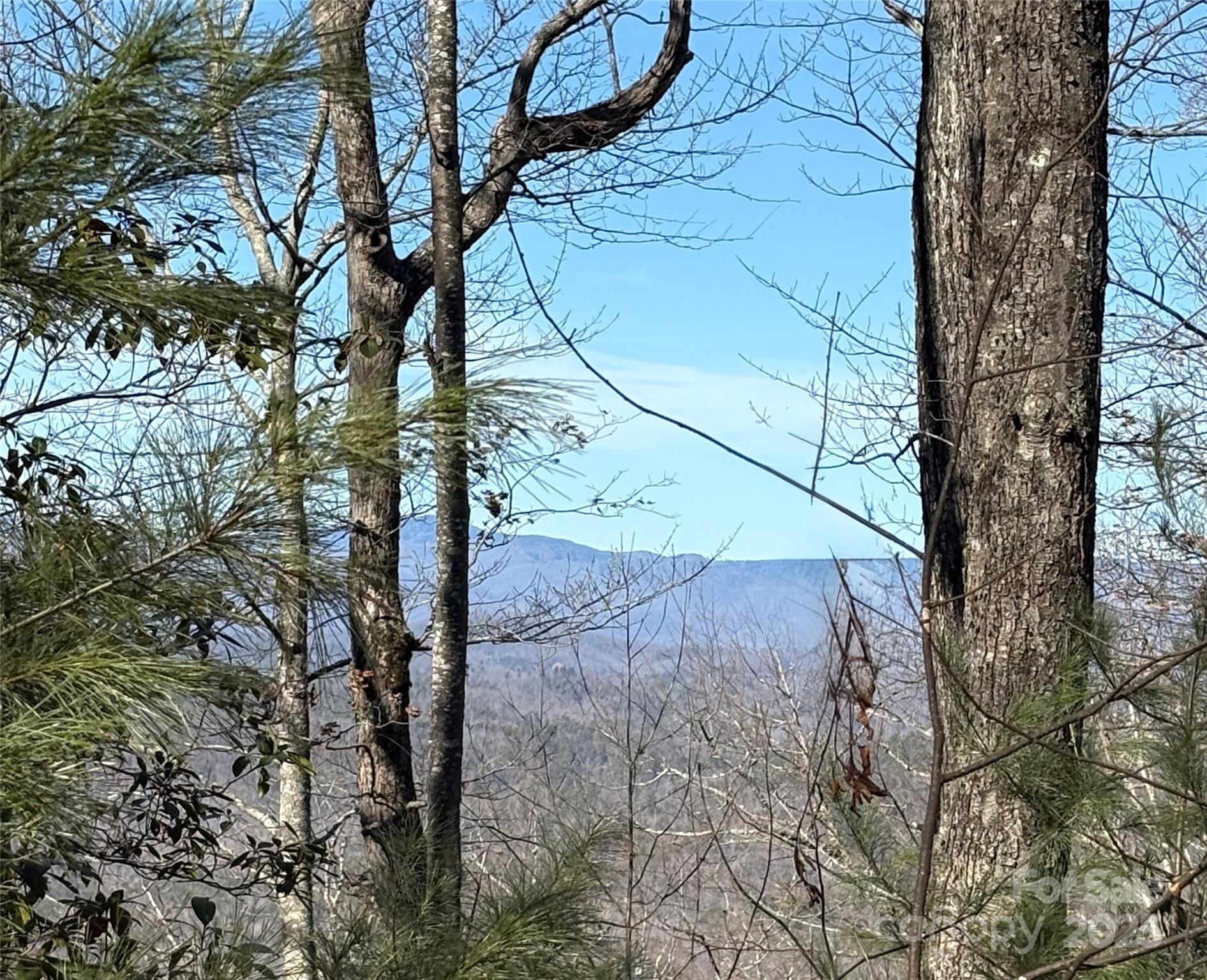 lot #13 Devils Hole Road Unit: 13