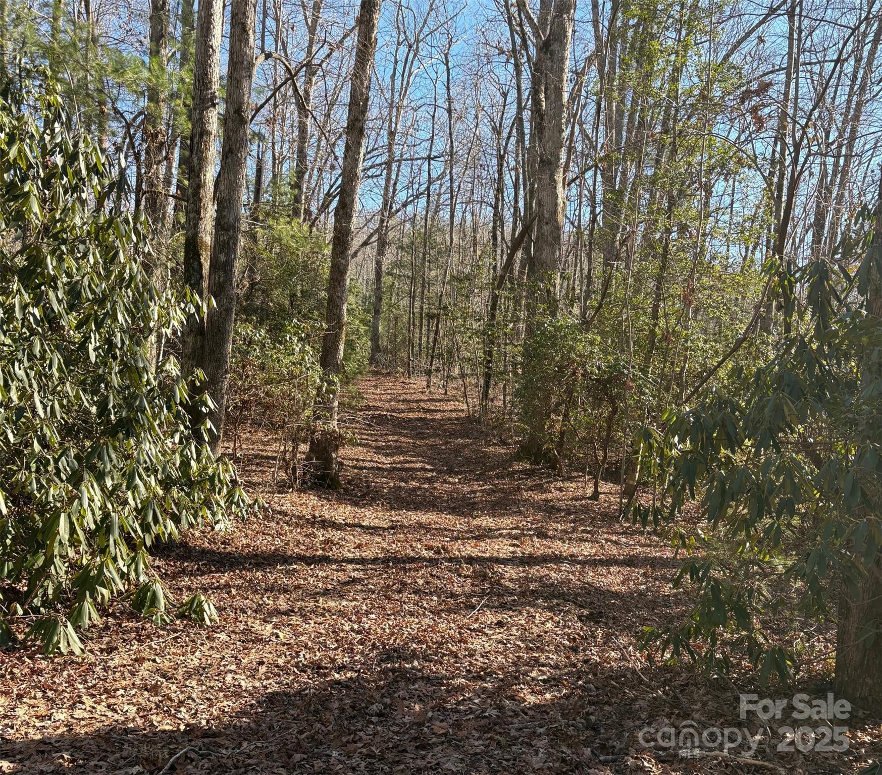 lot #13 Devils Hole Road Unit: 13