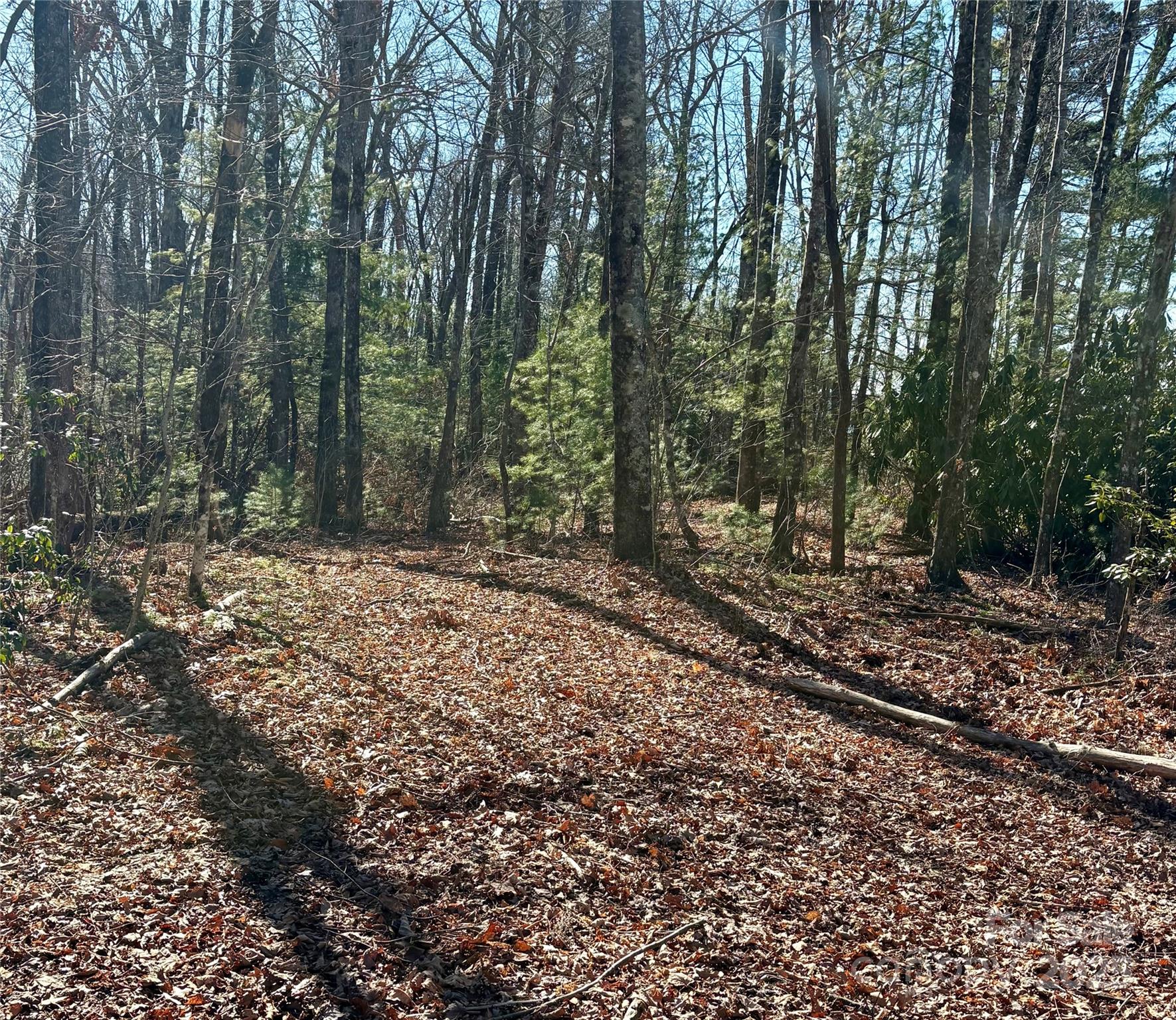 lot #13 Devils Hole Road Unit: 13