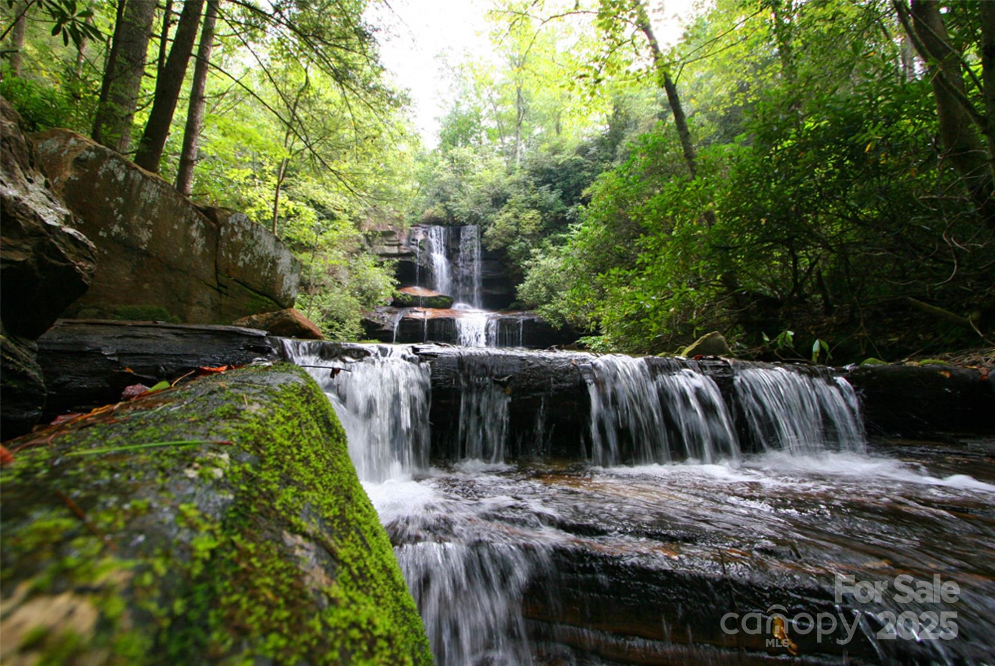 Lot 64 Peppervine Circle