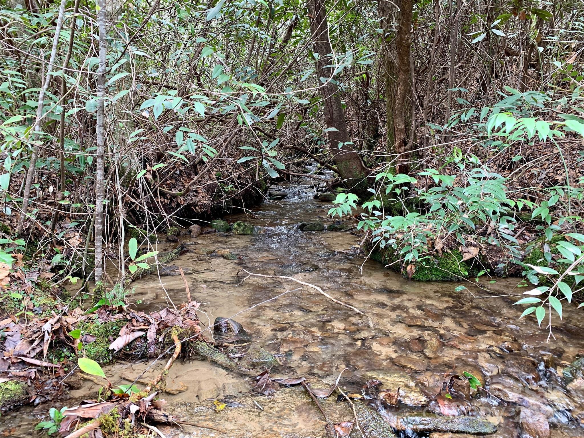 Lot 64 Peppervine Circle