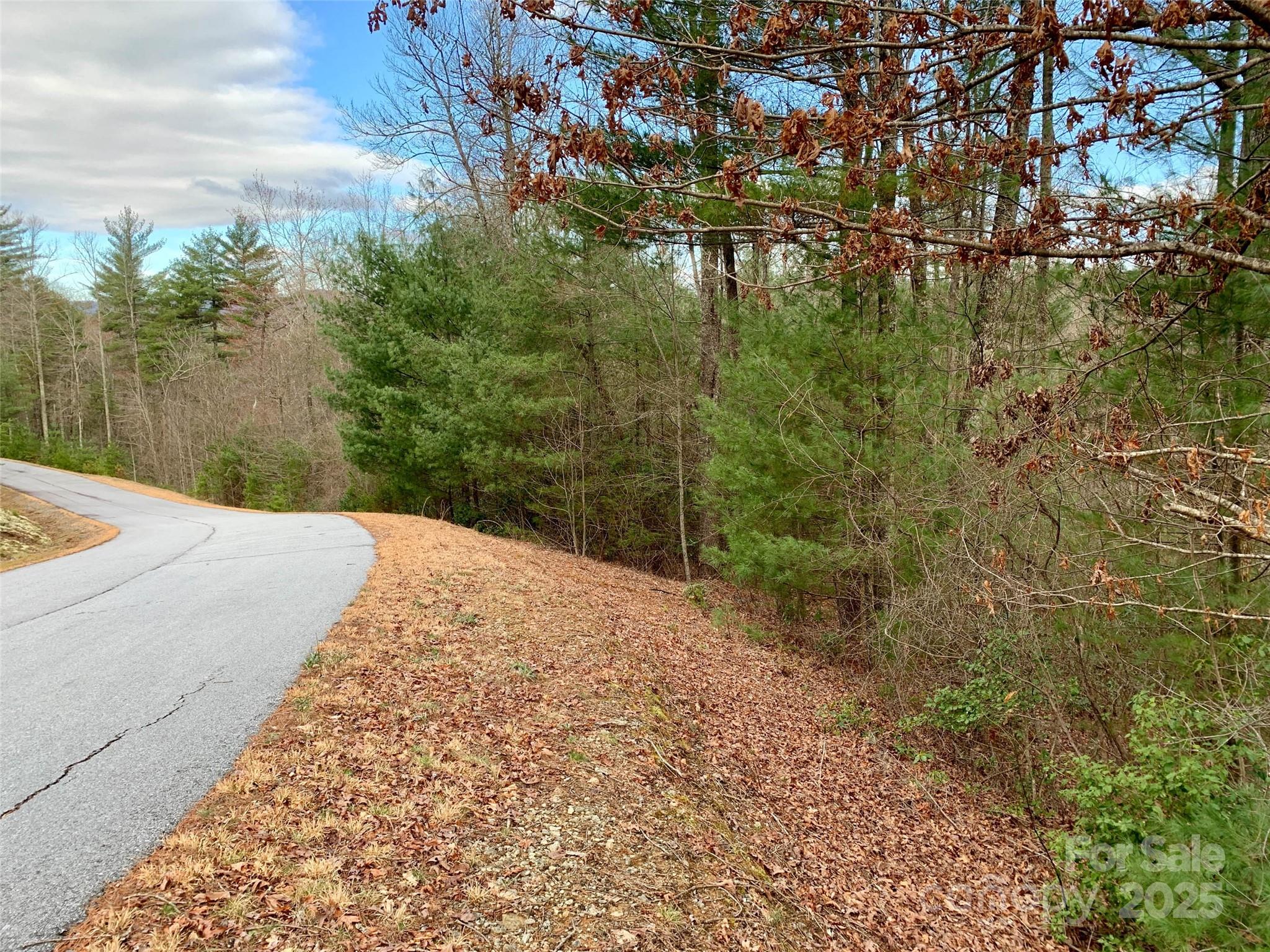 Lot 64 Peppervine Circle