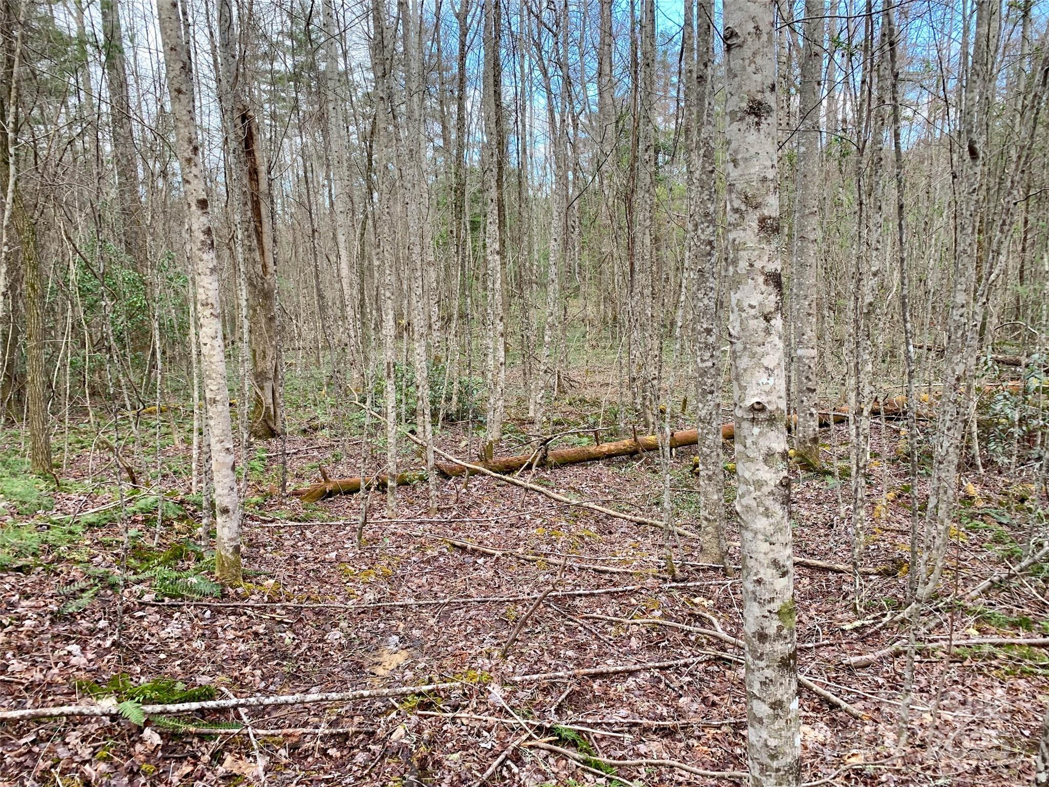 Lot 64 Peppervine Circle