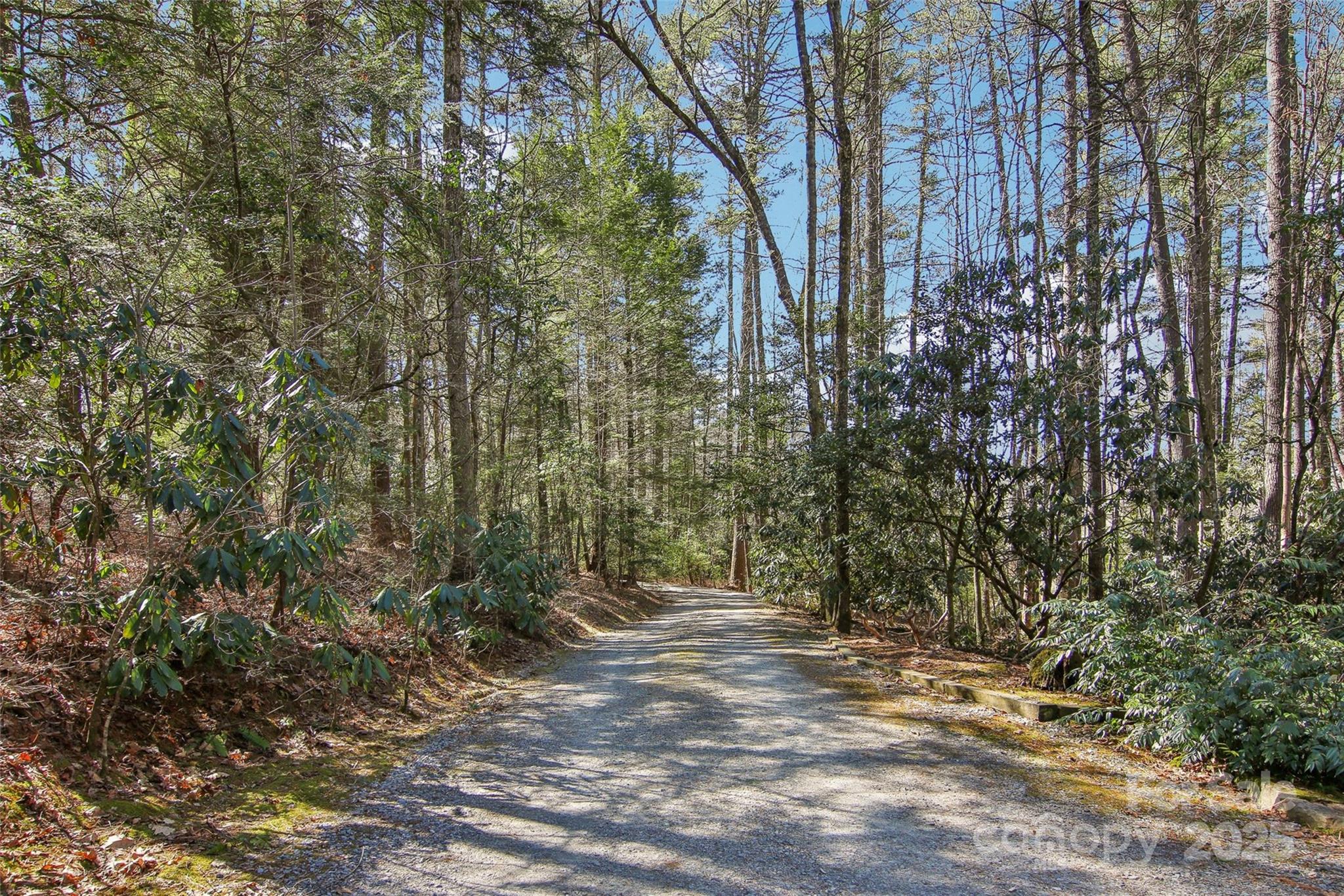 380 Cedar Lane