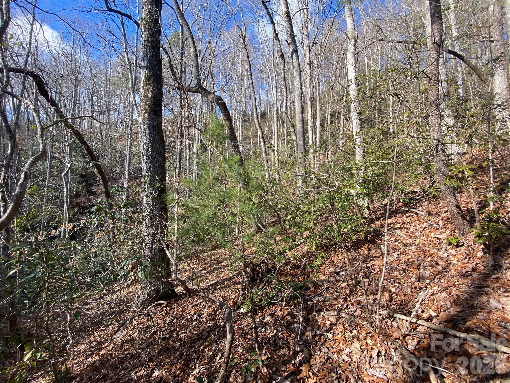 999 High Point Trail