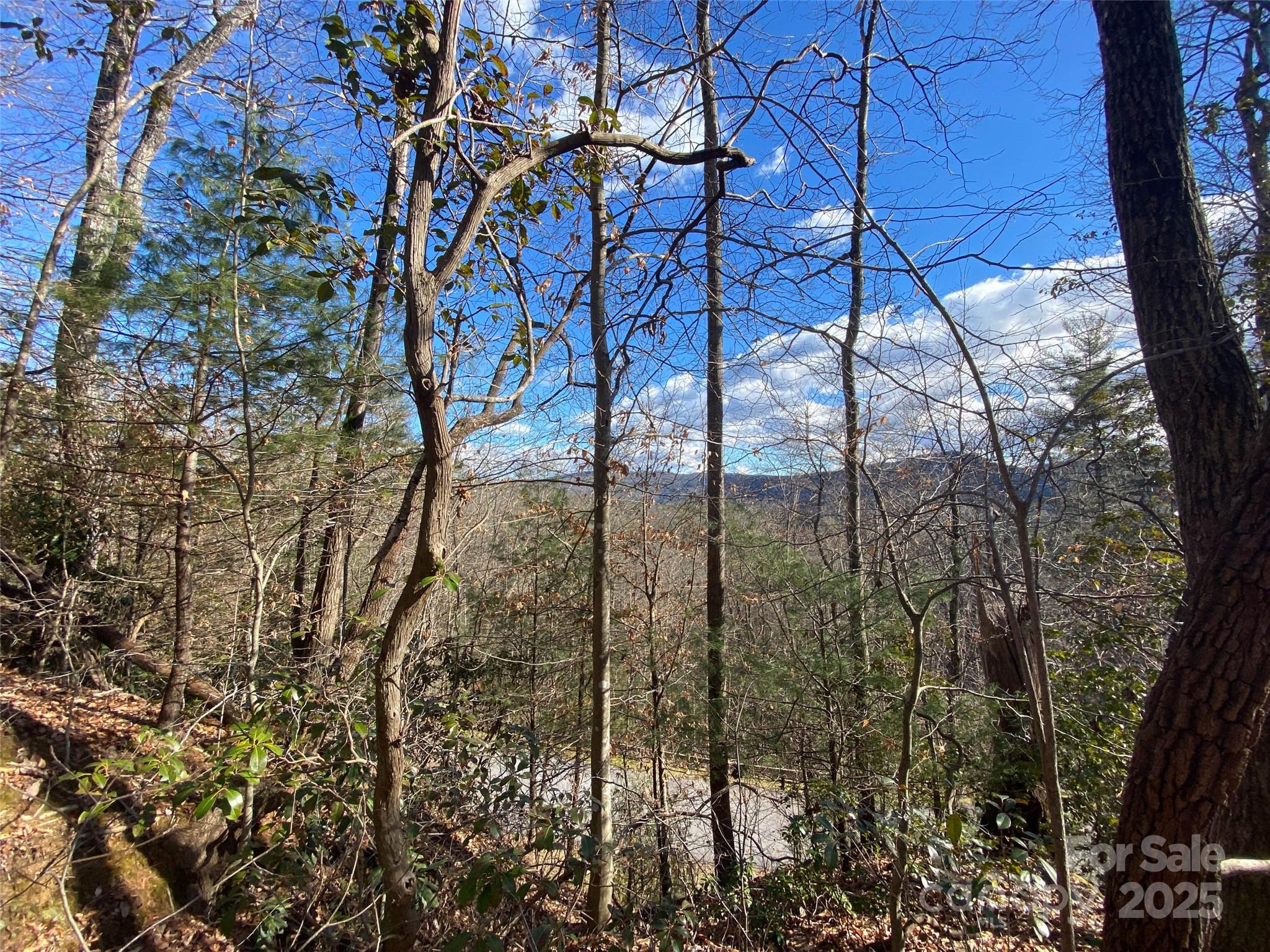 999 High Point Trail