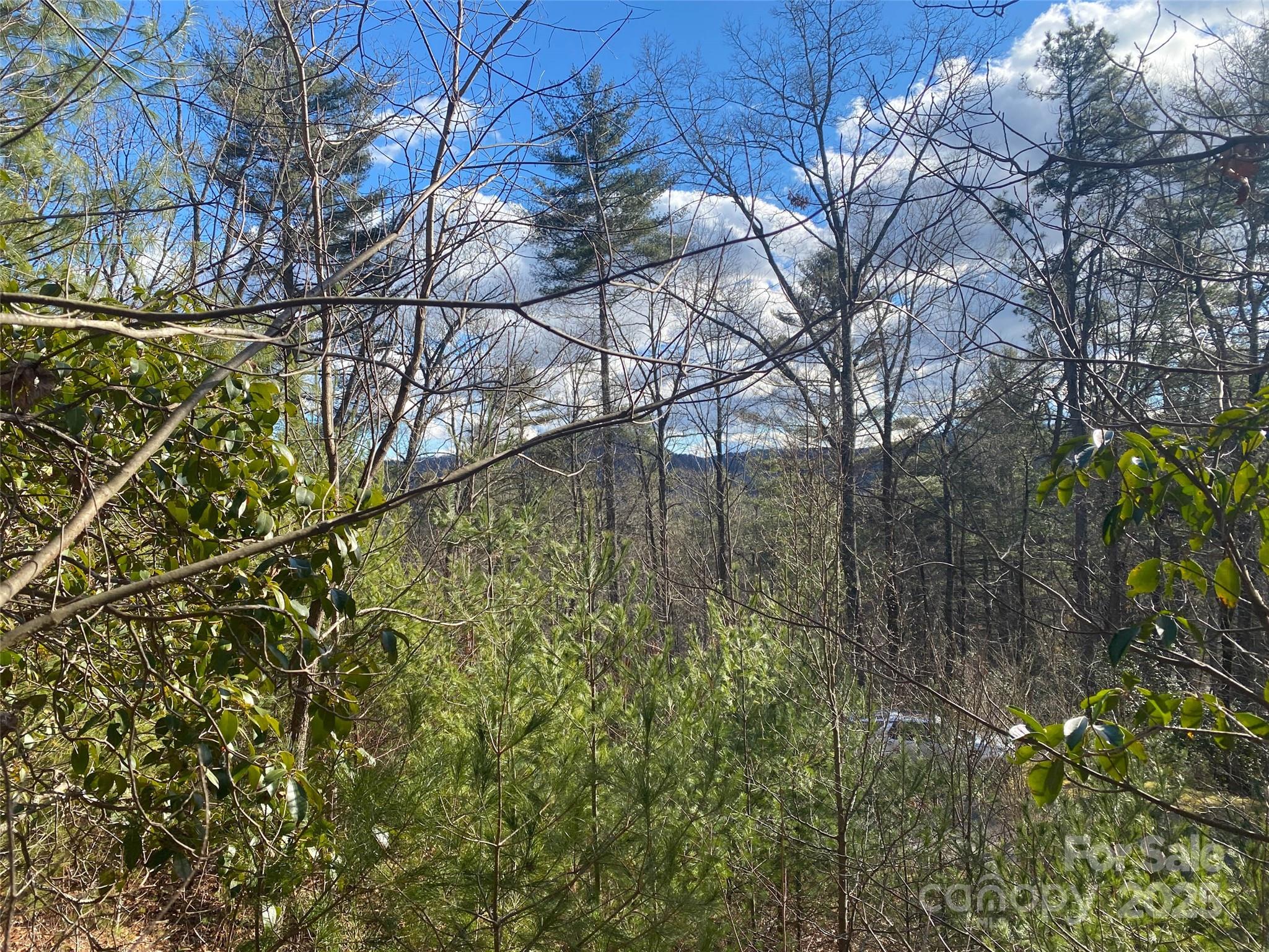 999 High Point Trail
