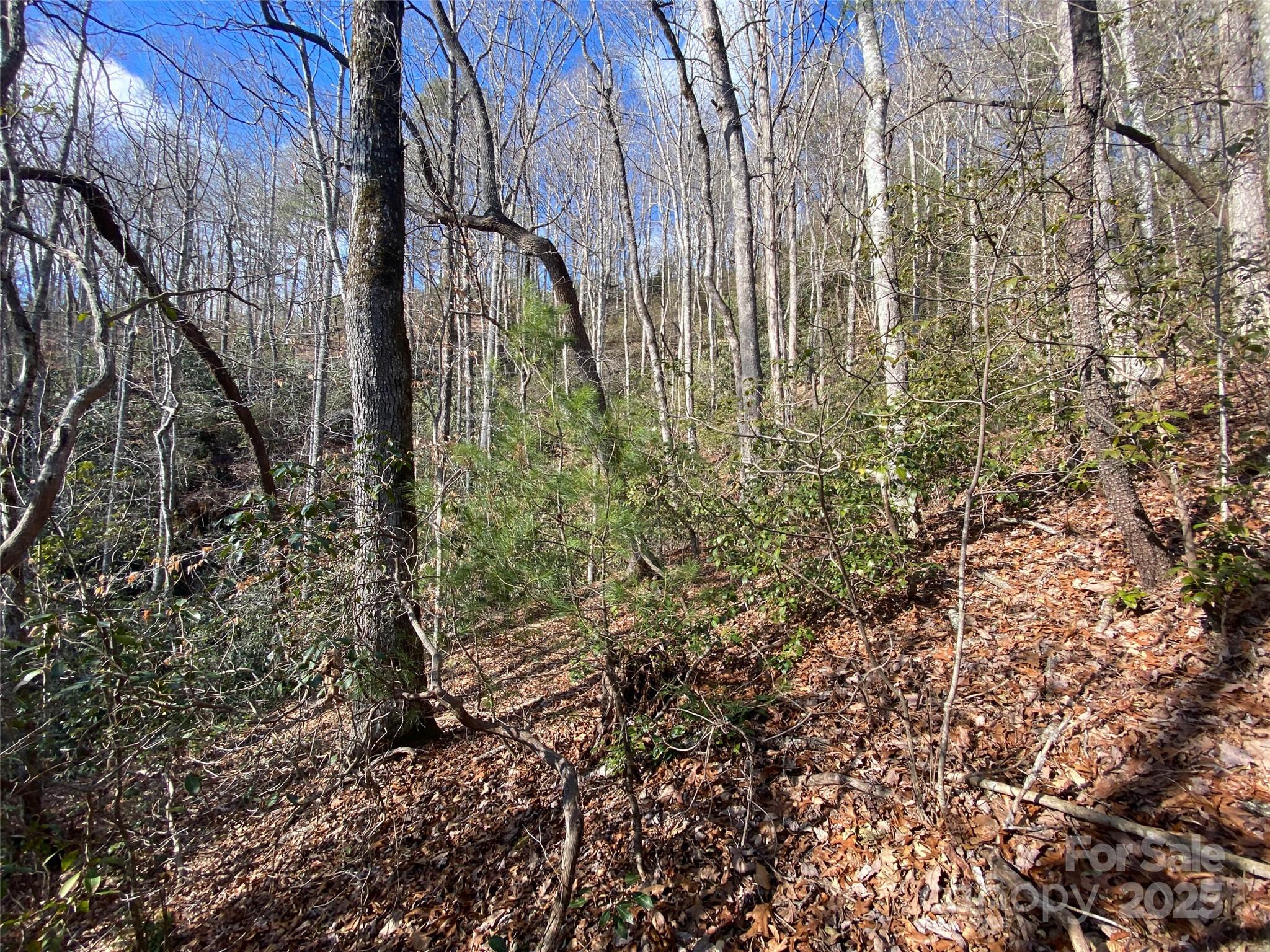 999 High Point Trail
