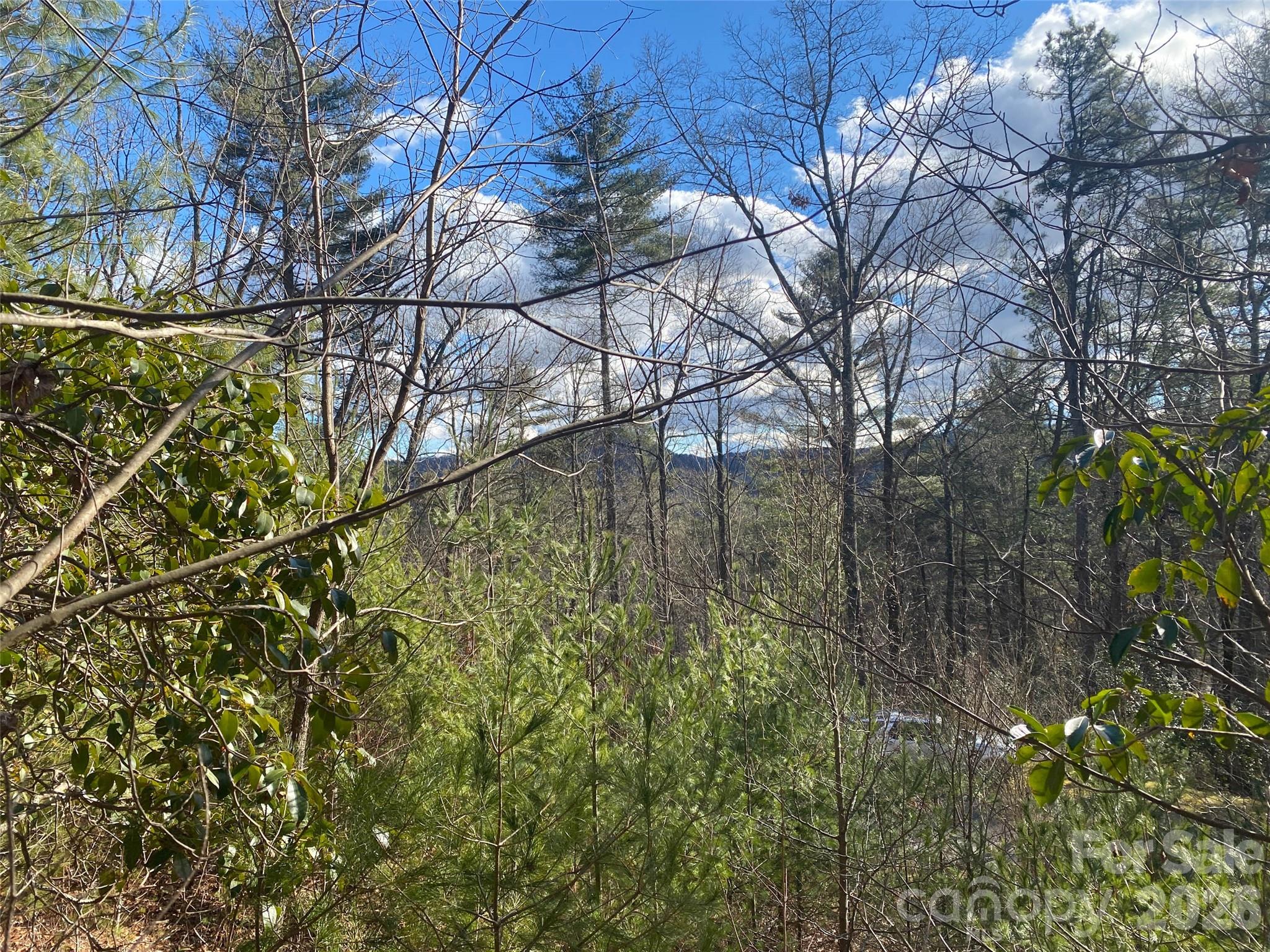 999 High Point Trail