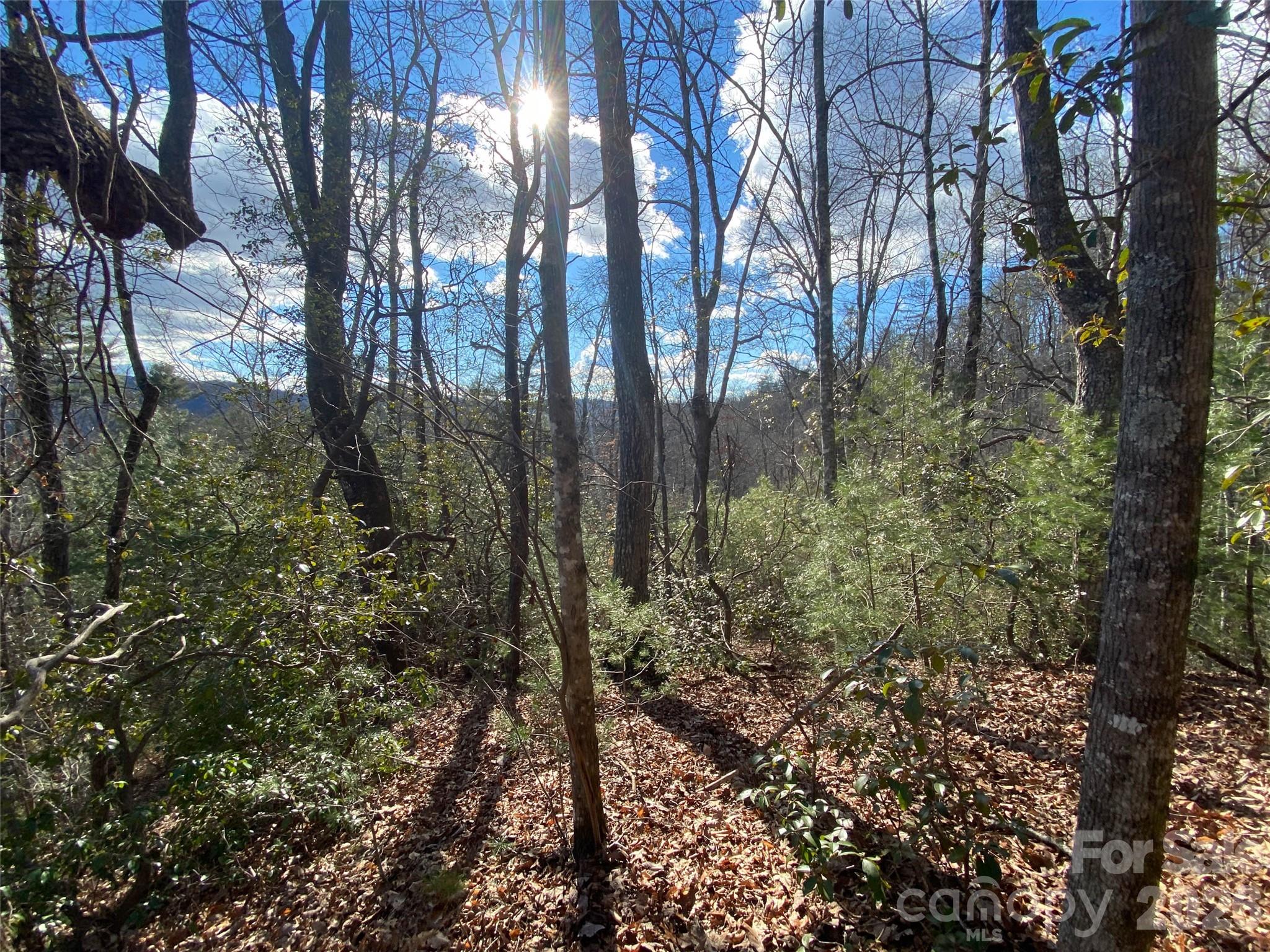 999 High Point Trail