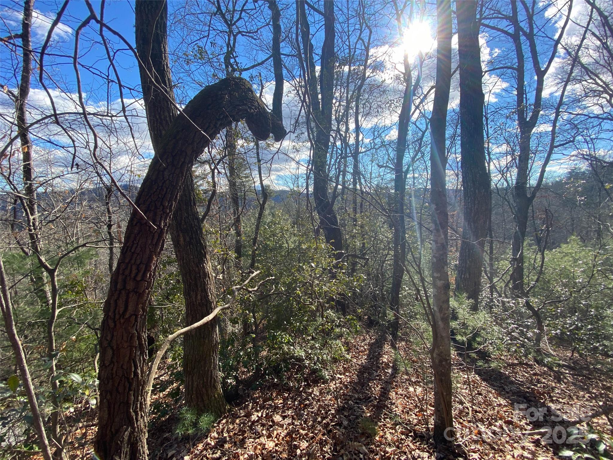 999 High Point Trail