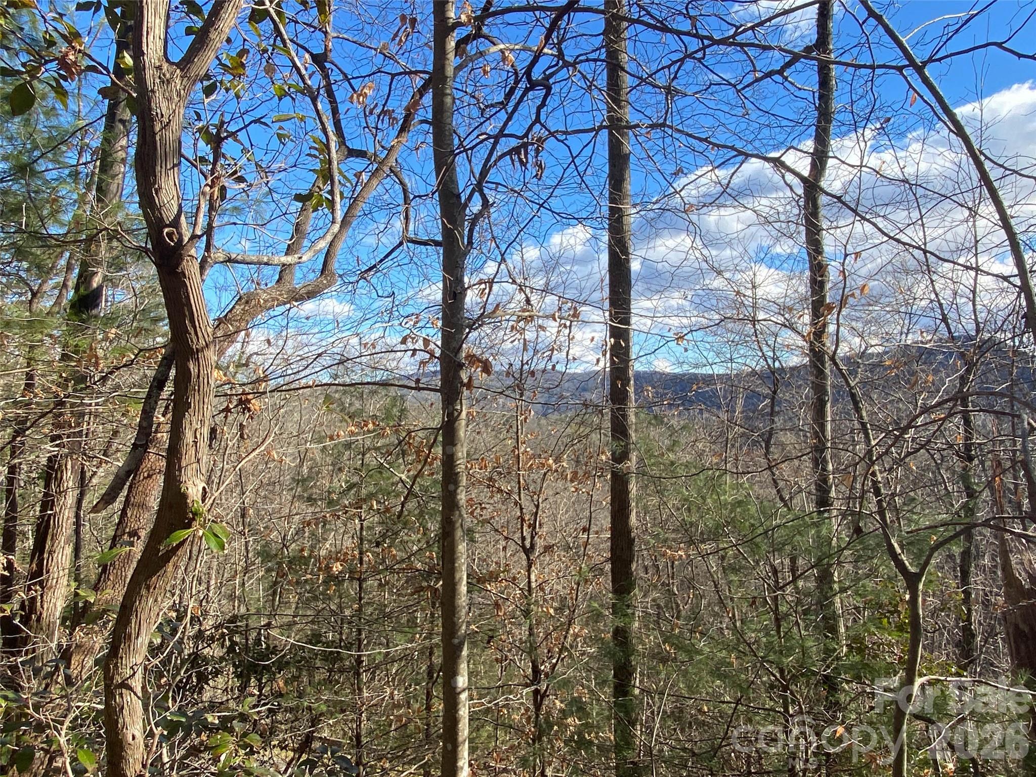 999 High Point Trail