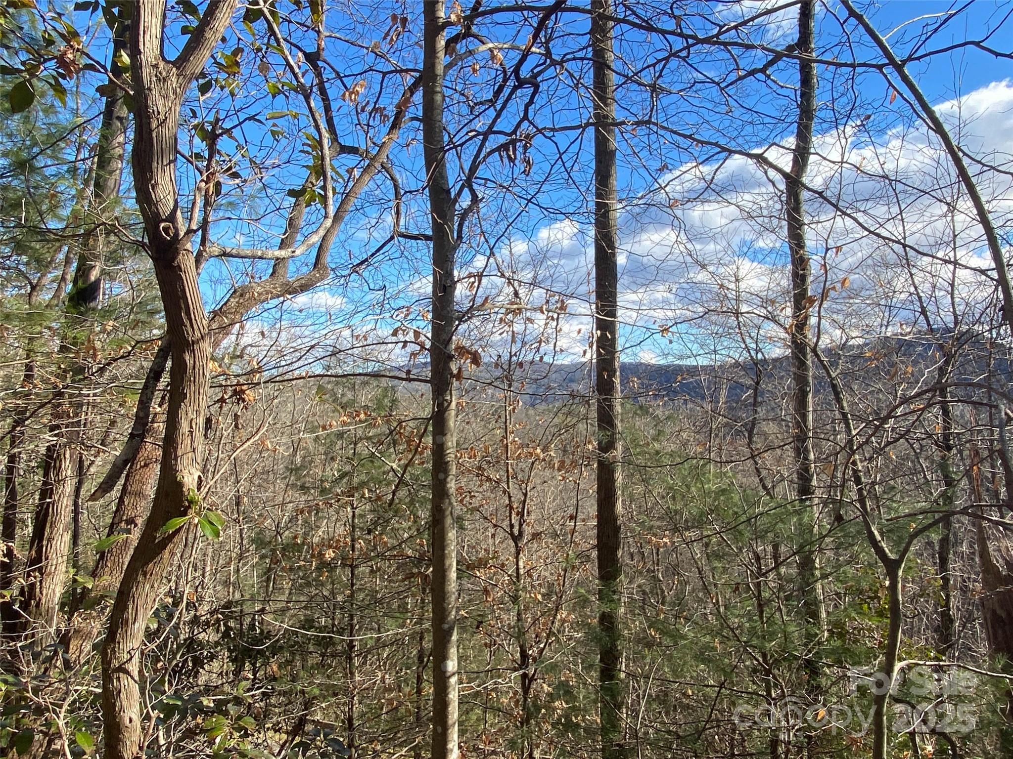 999 High Point Trail
