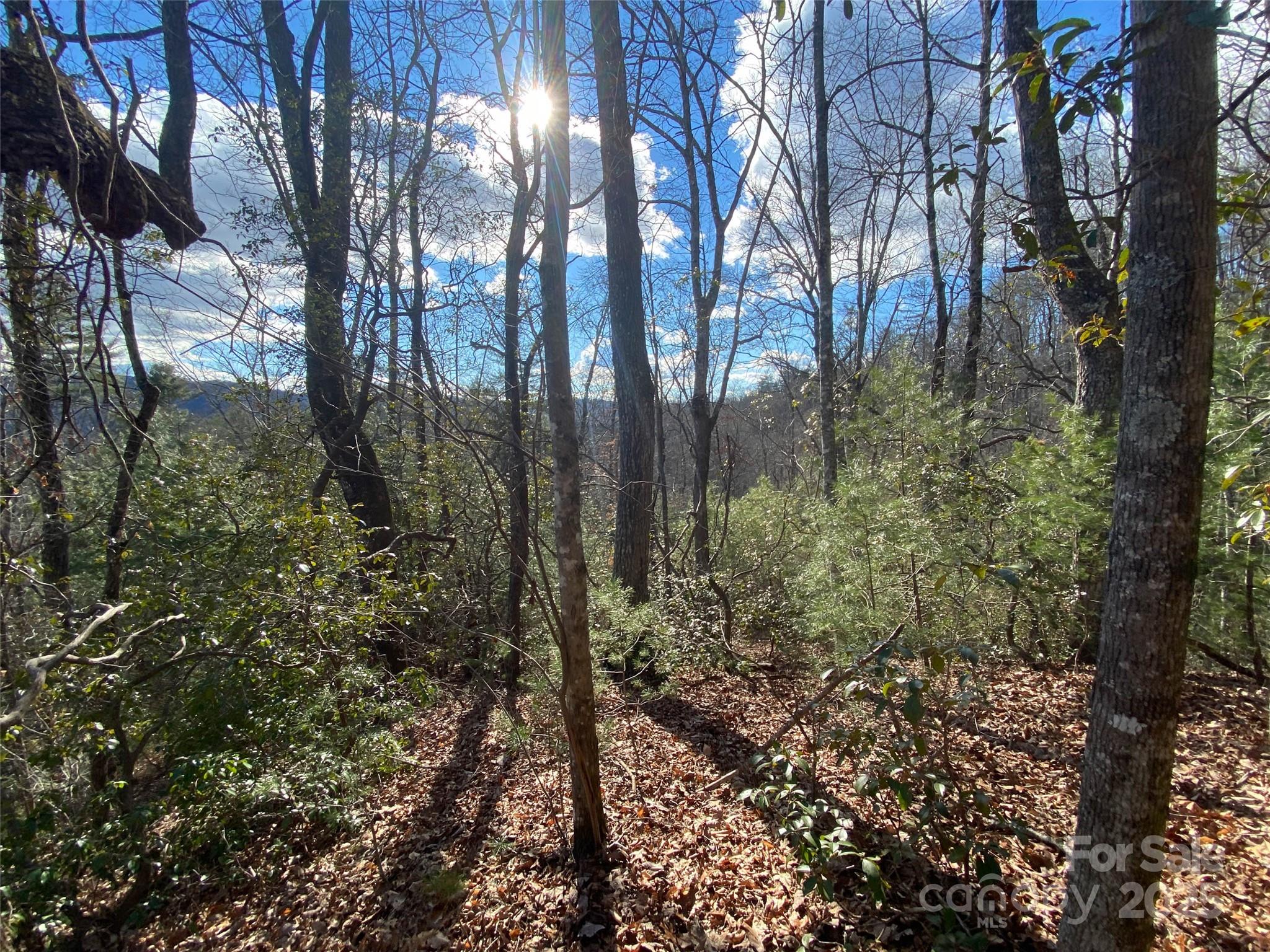 999 High Point Trail