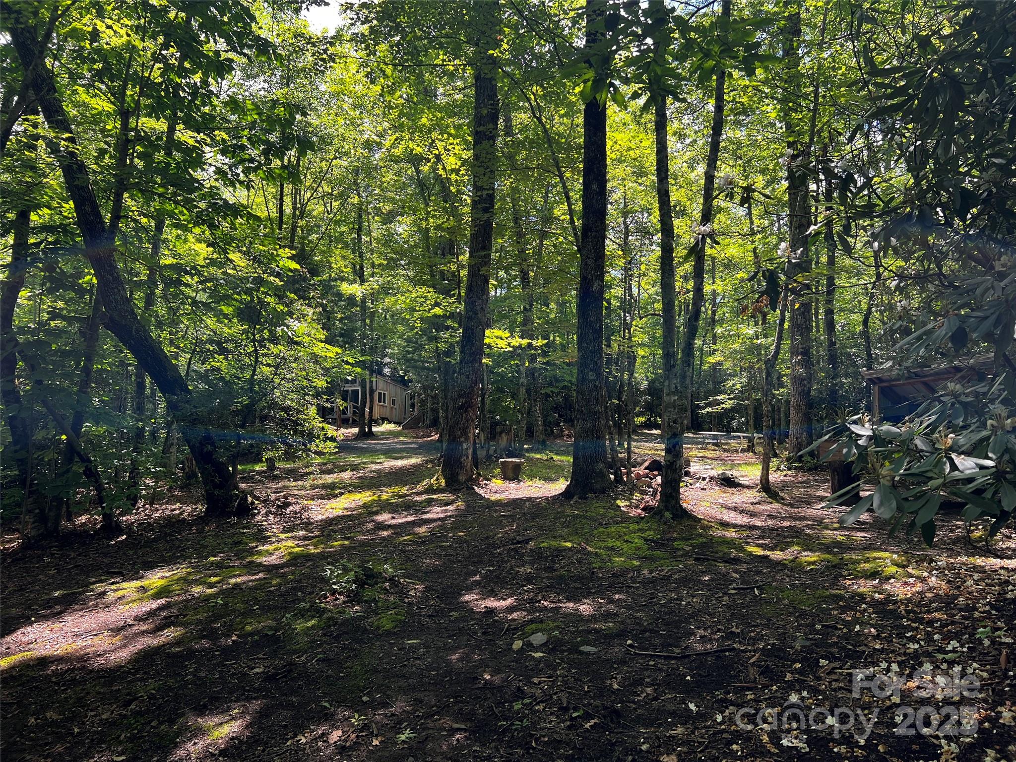 299 Mcintosh Road