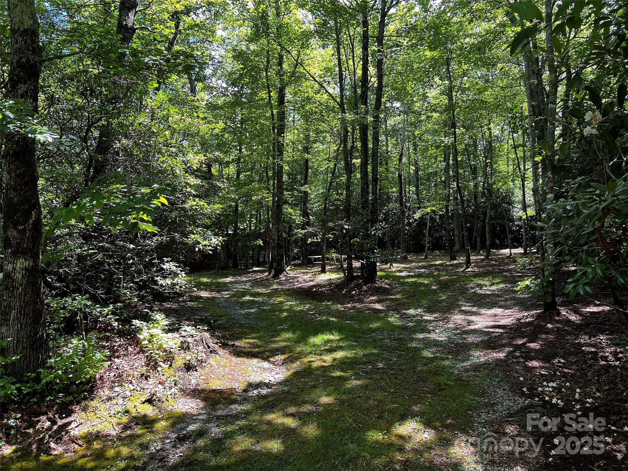 299 Mcintosh Road