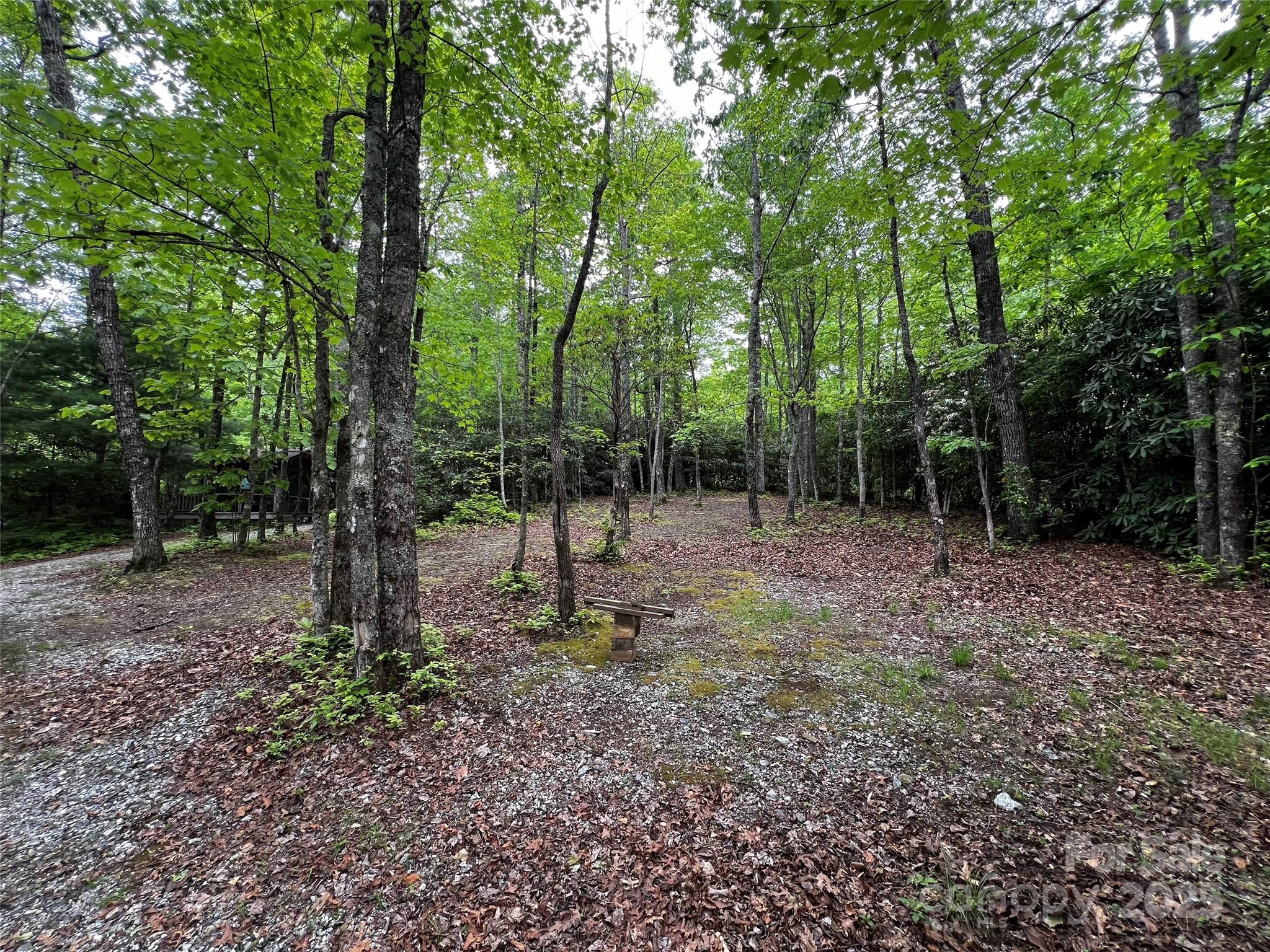 299 Mcintosh Road