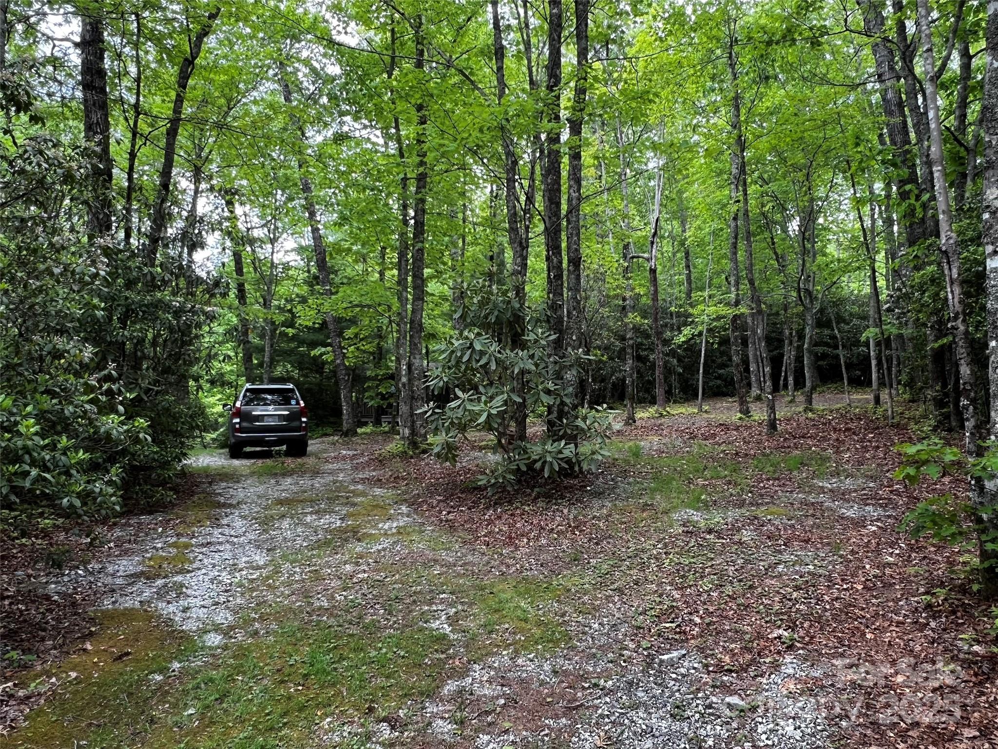 299 Mcintosh Road