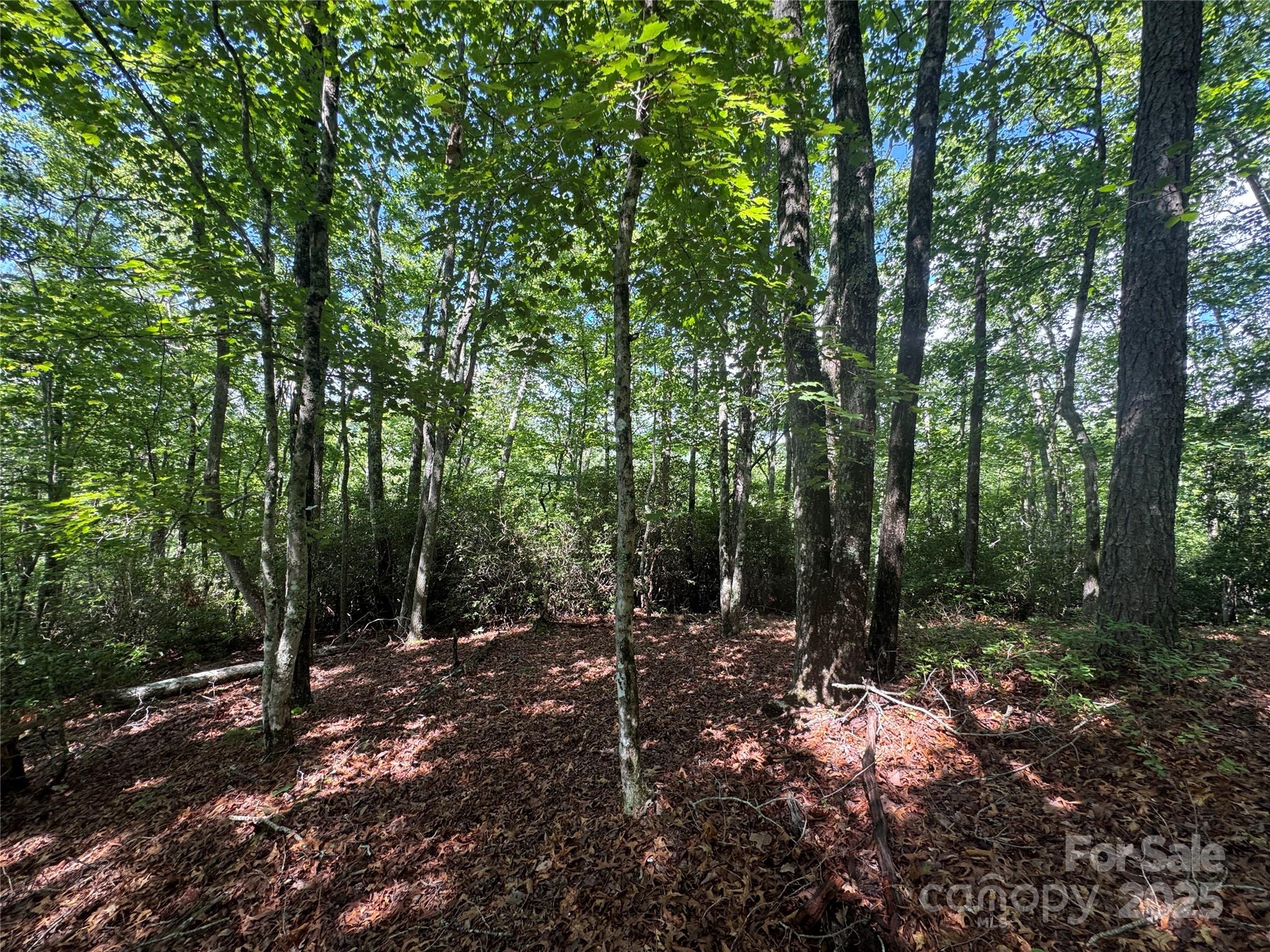 999 Ivy Lane