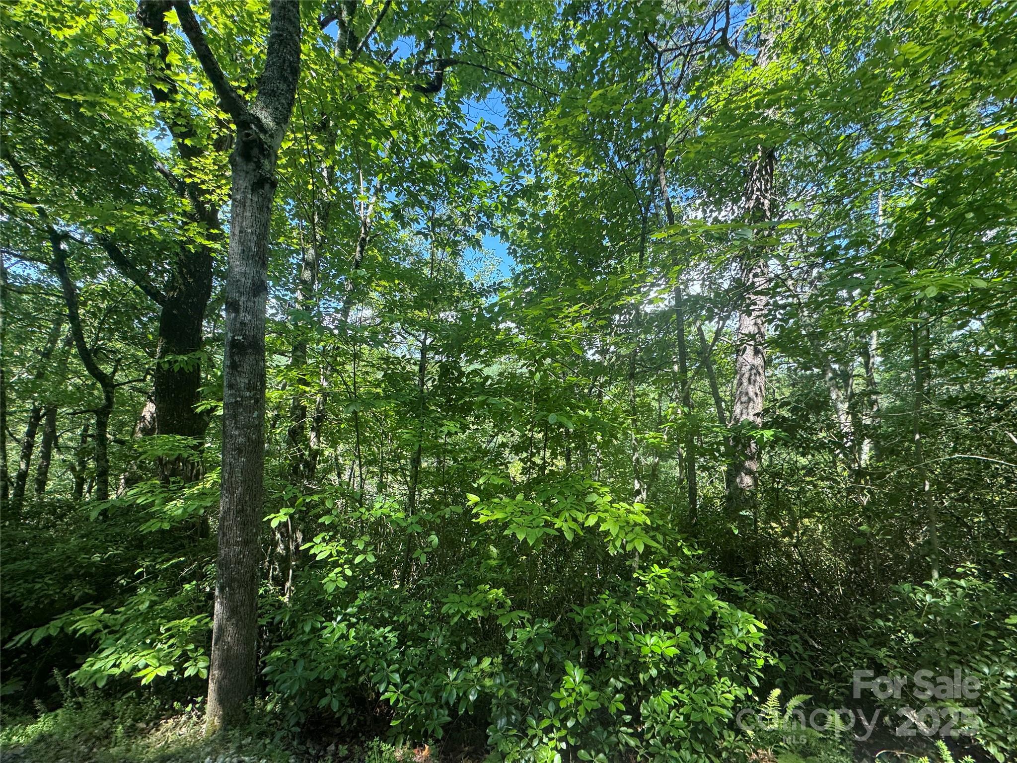 999 Ivy Lane