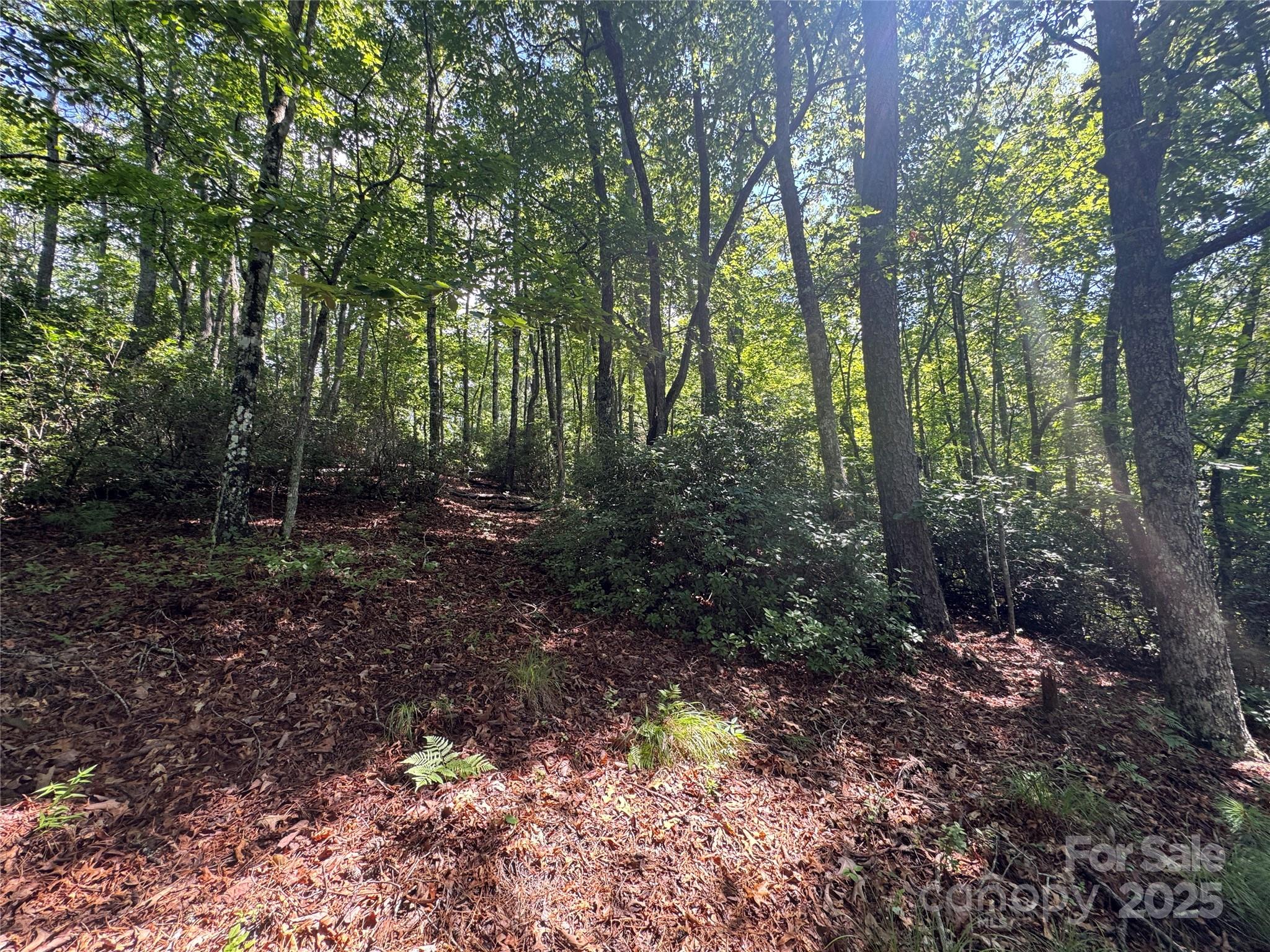 999 Ivy Lane