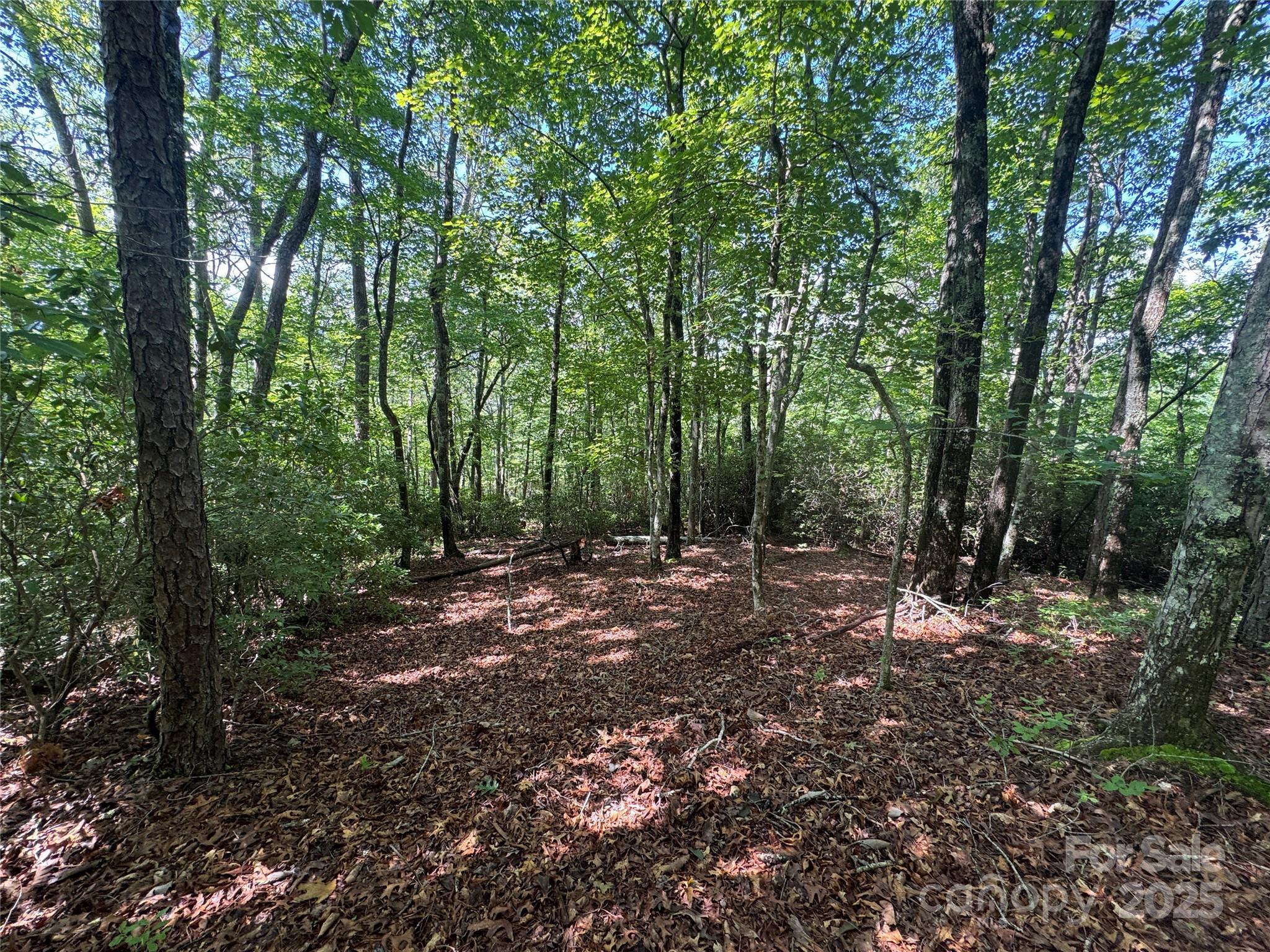 999 Ivy Lane