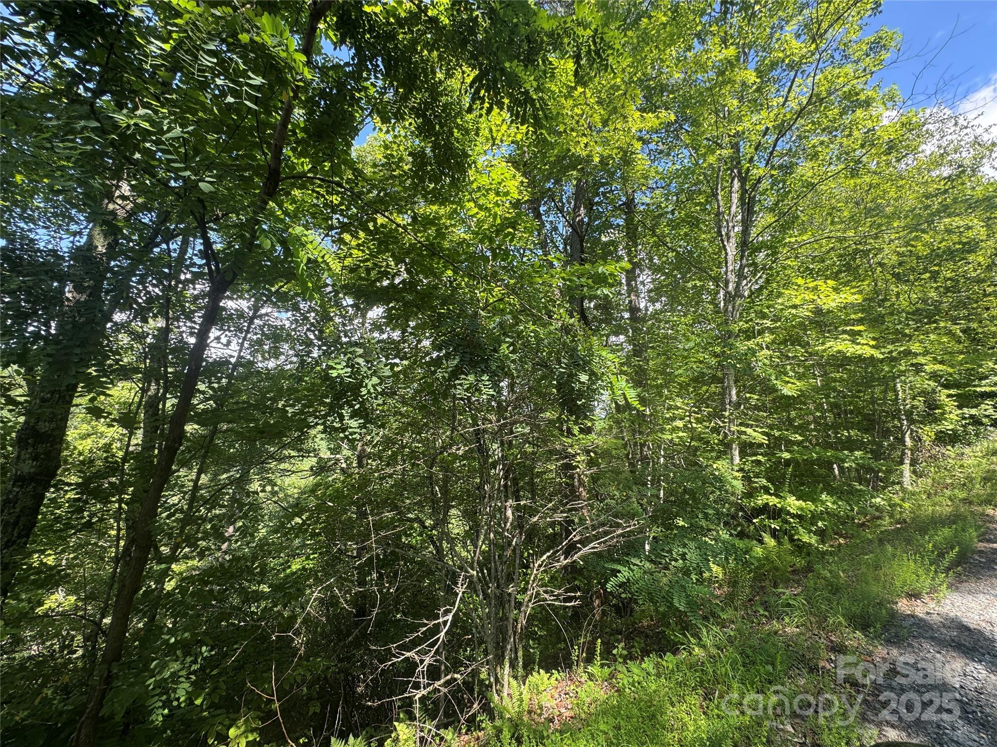 999 Ivy Lane