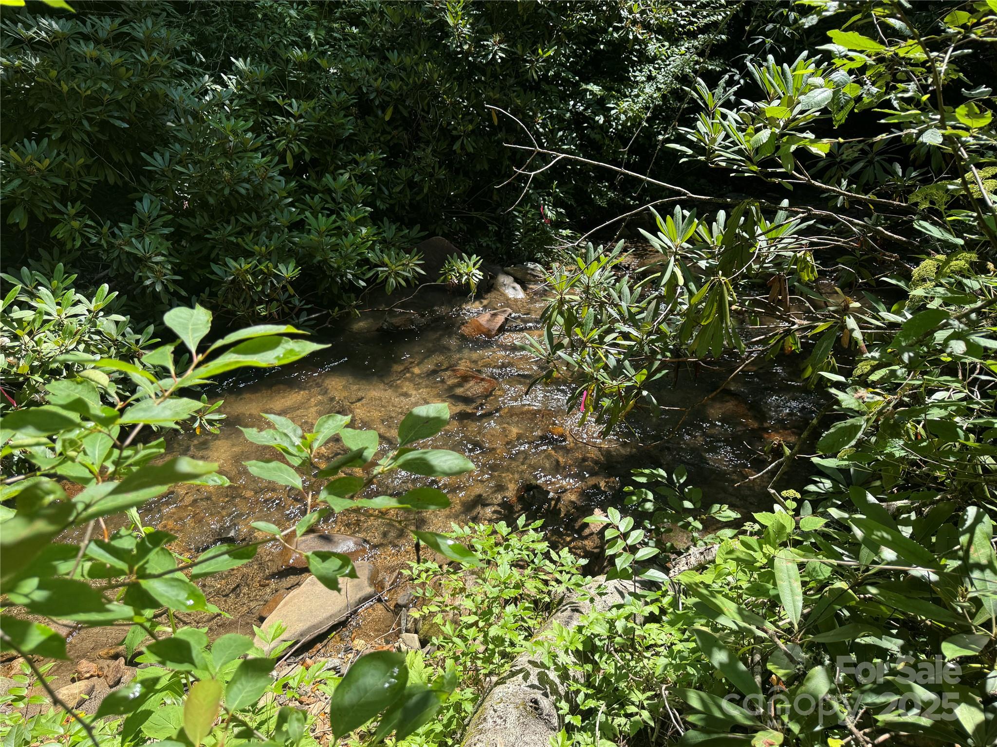 999 Ivy Lane