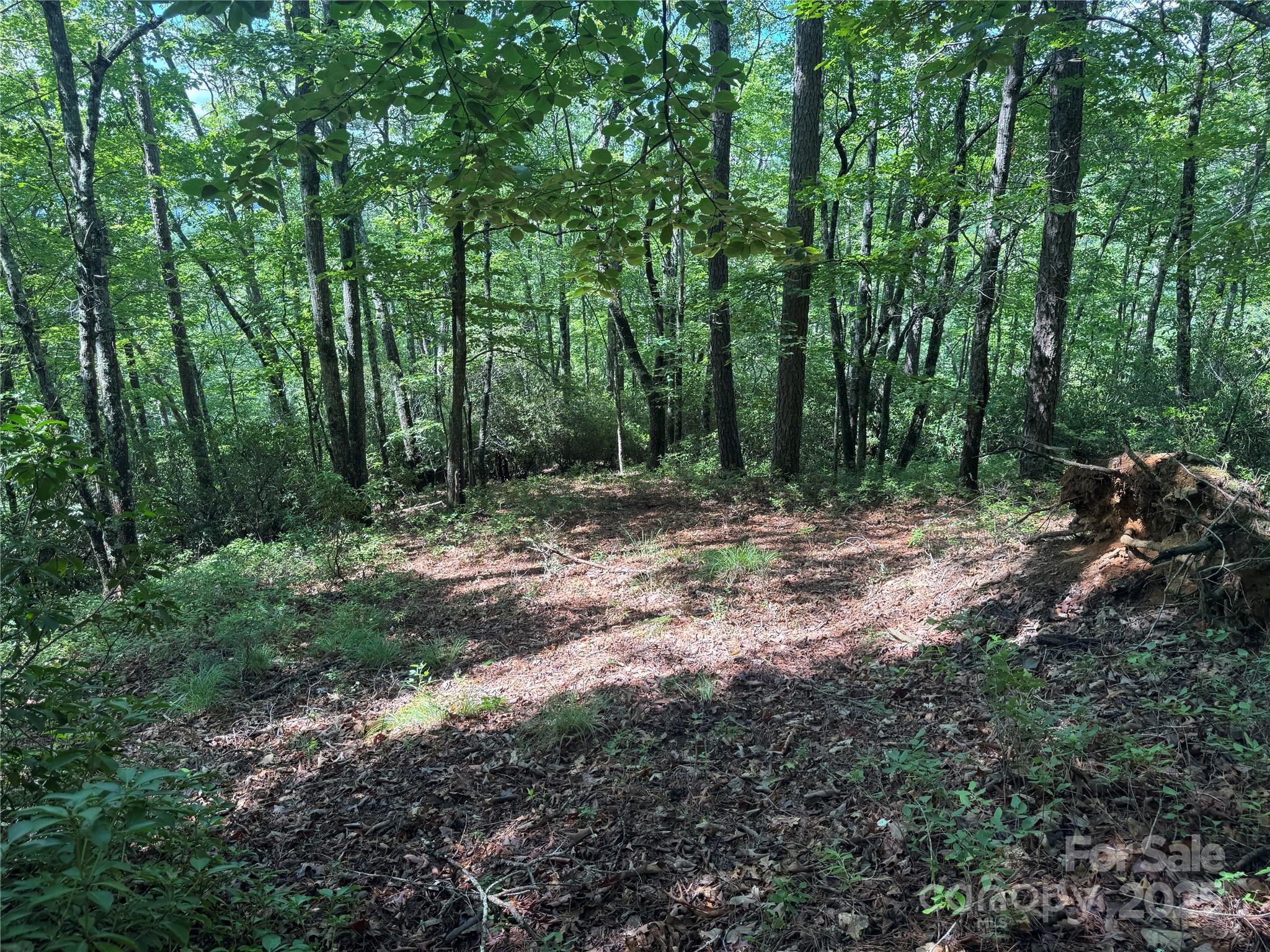 999 Ivy Lane