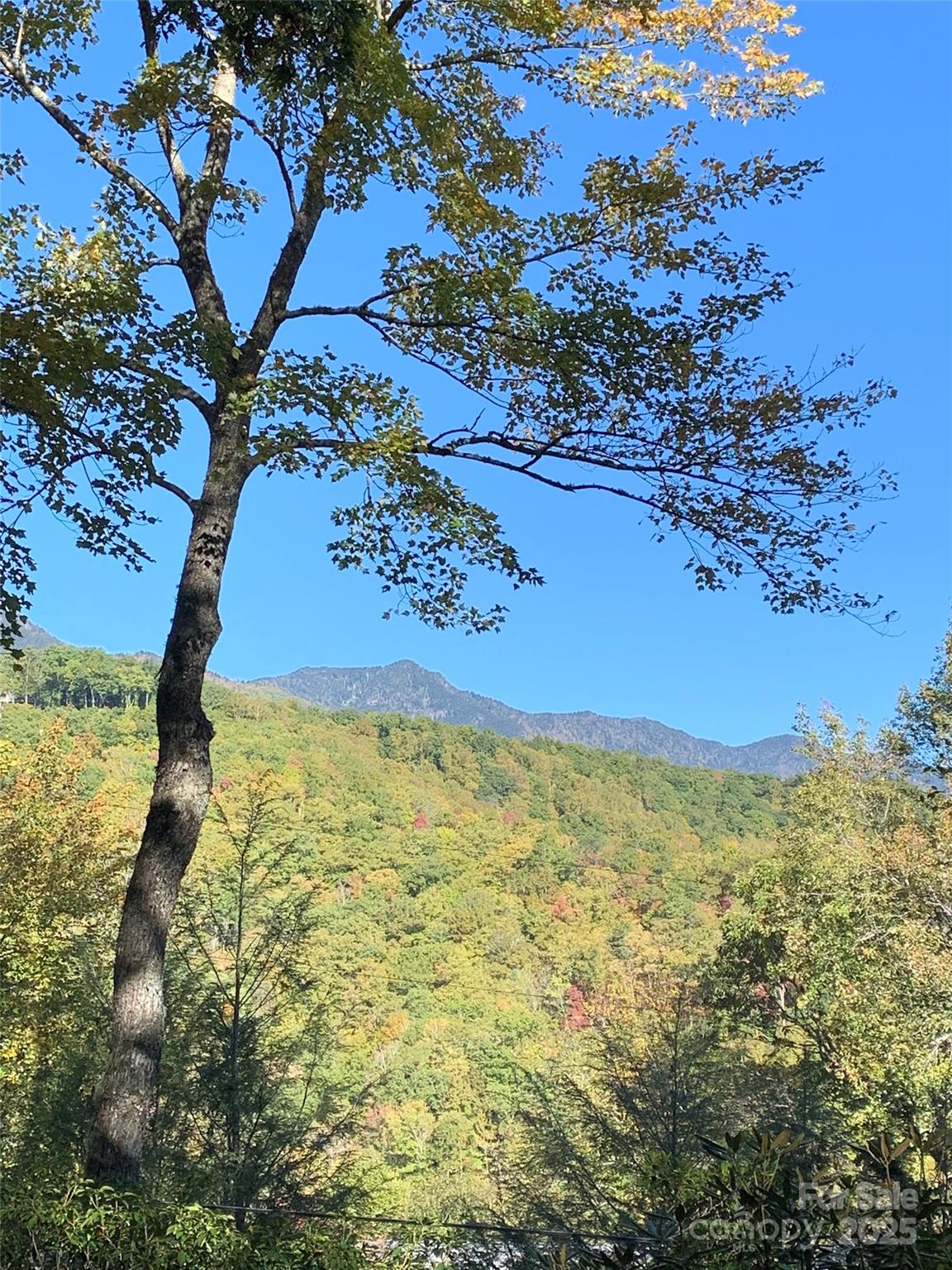 19 High Terrain Drive