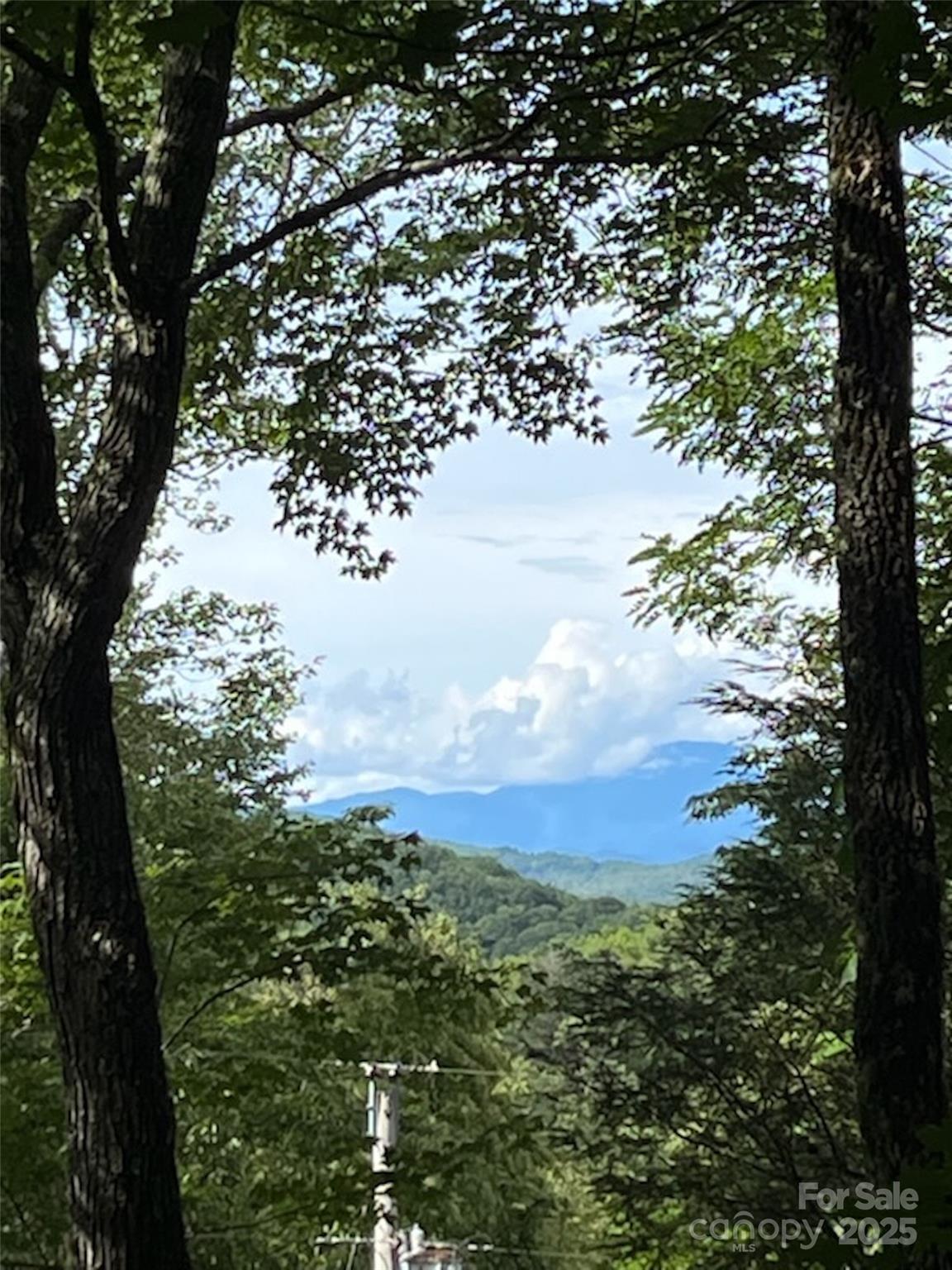 19 High Terrain Drive