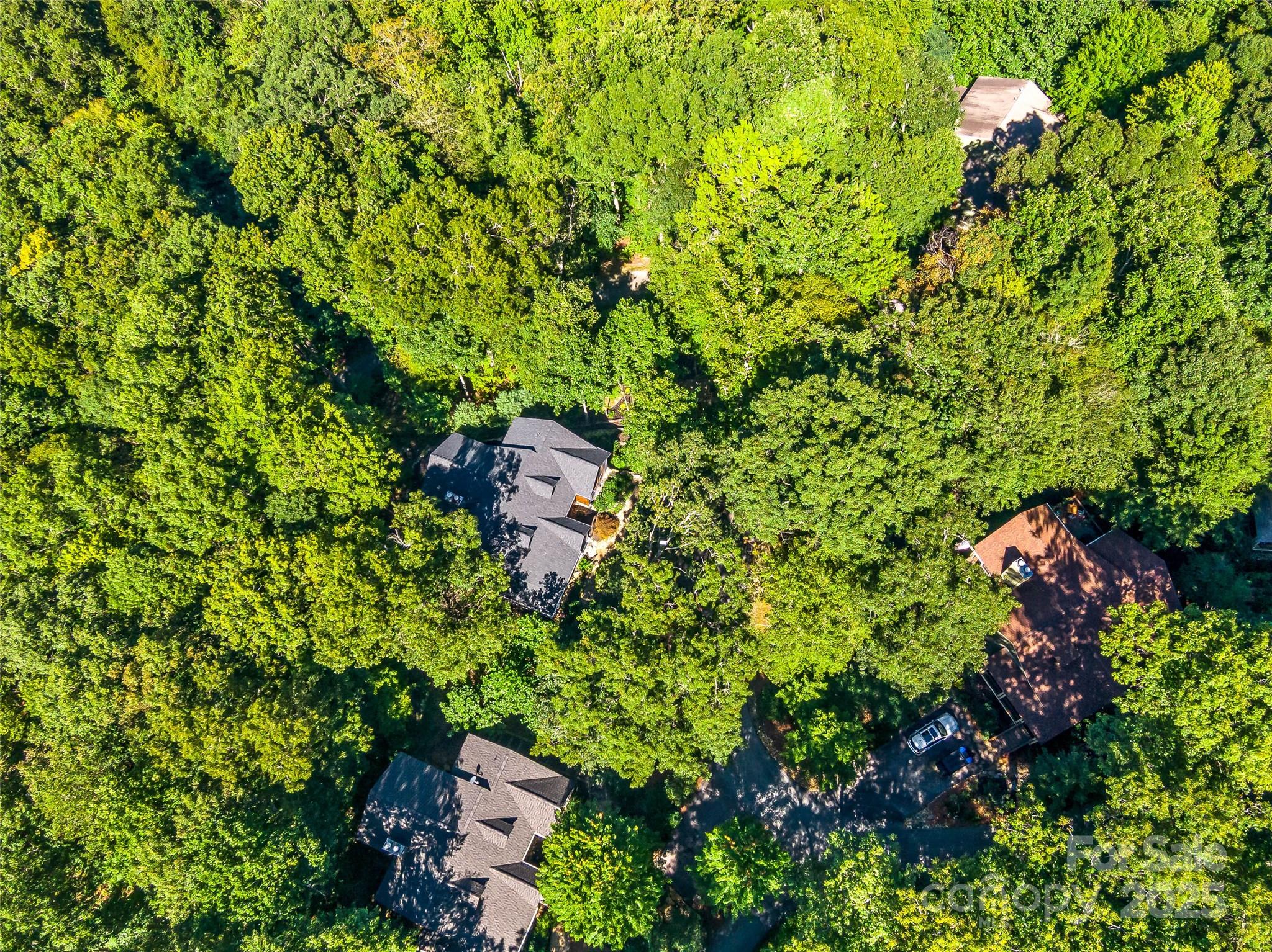 286 Hedgewood Drive