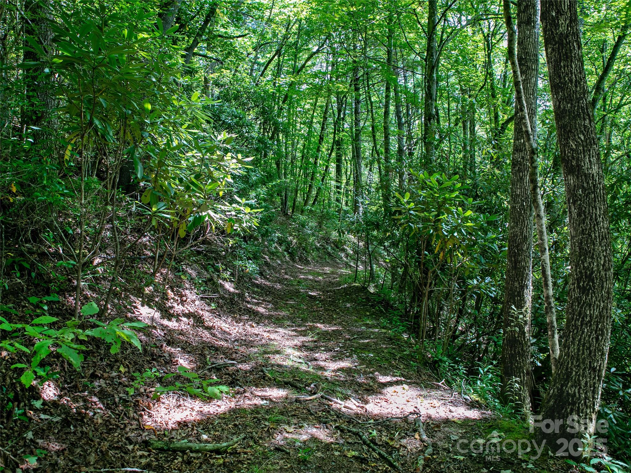 999 N Robinson Creek Road