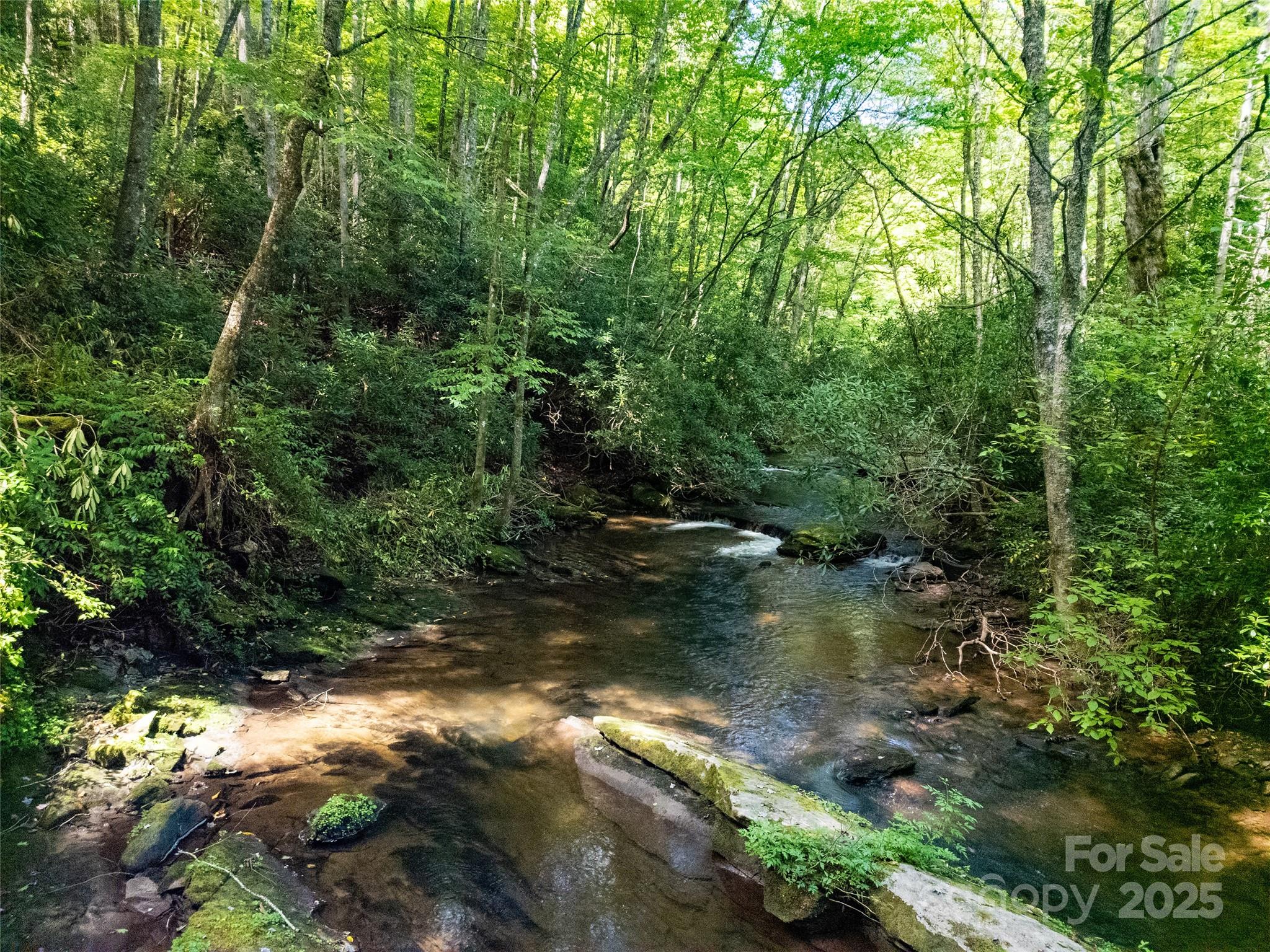 999 N Robinson Creek Road