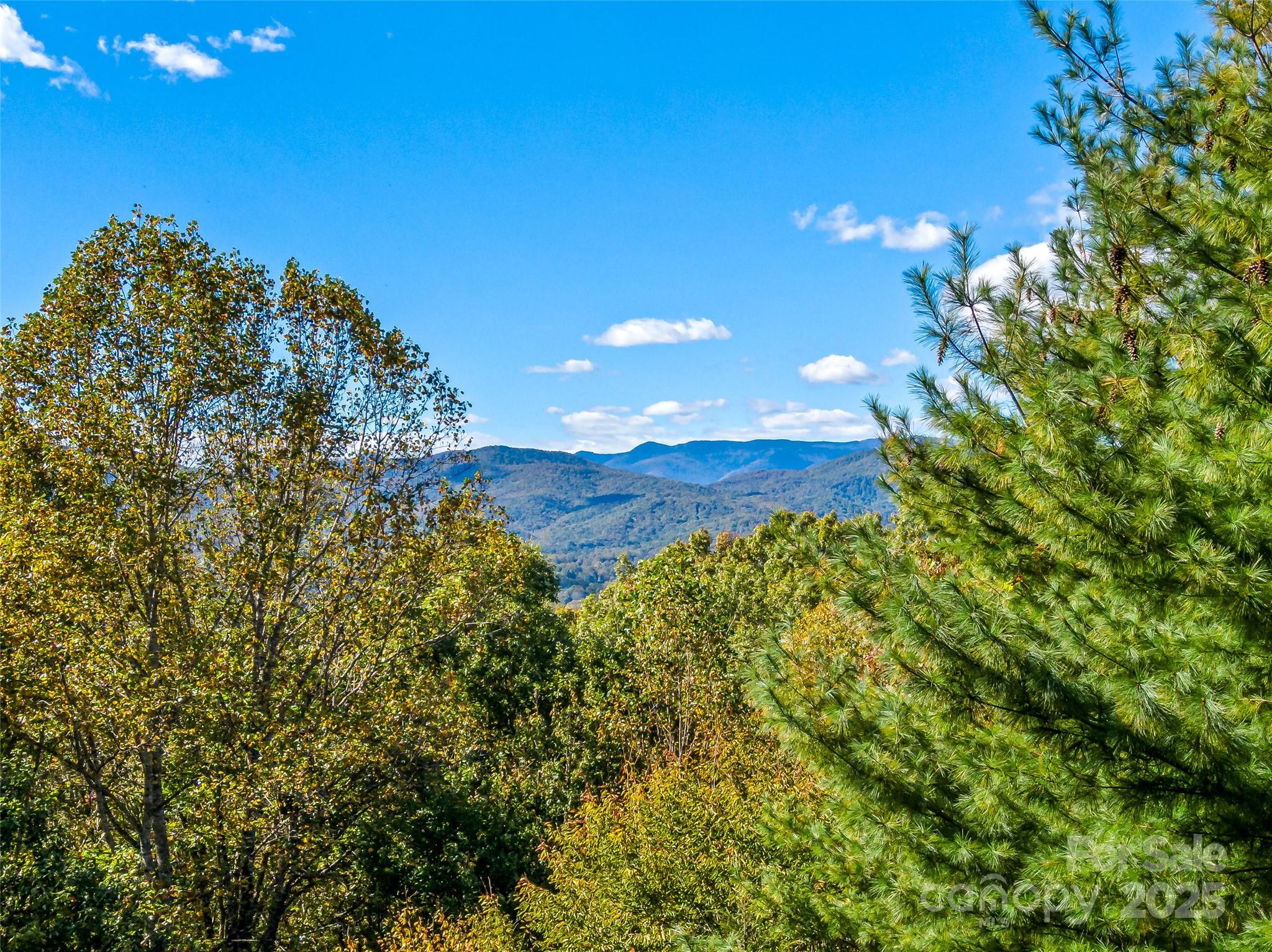 50 Timberlane Circle