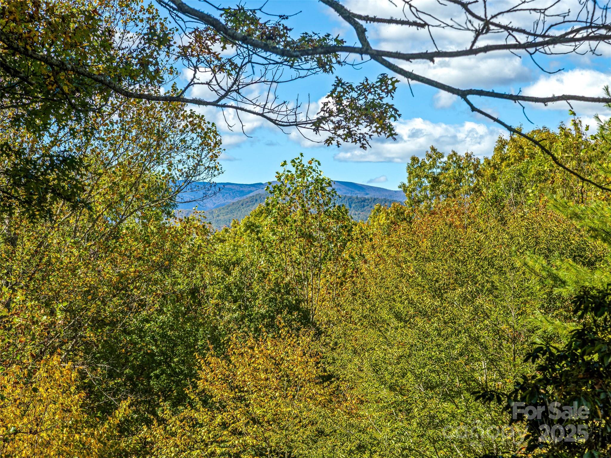 50 Timberlane Circle