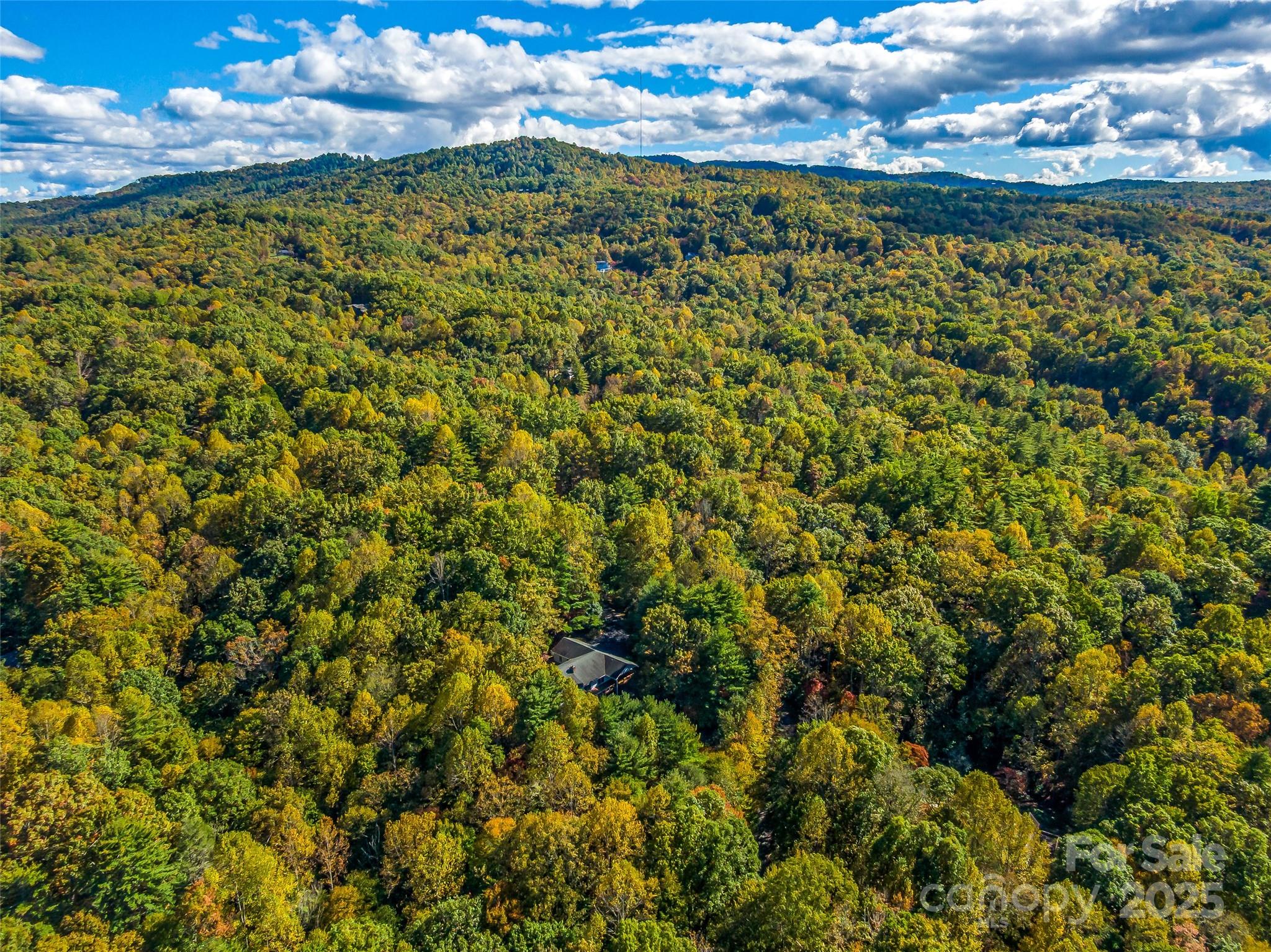 50 Timberlane Circle