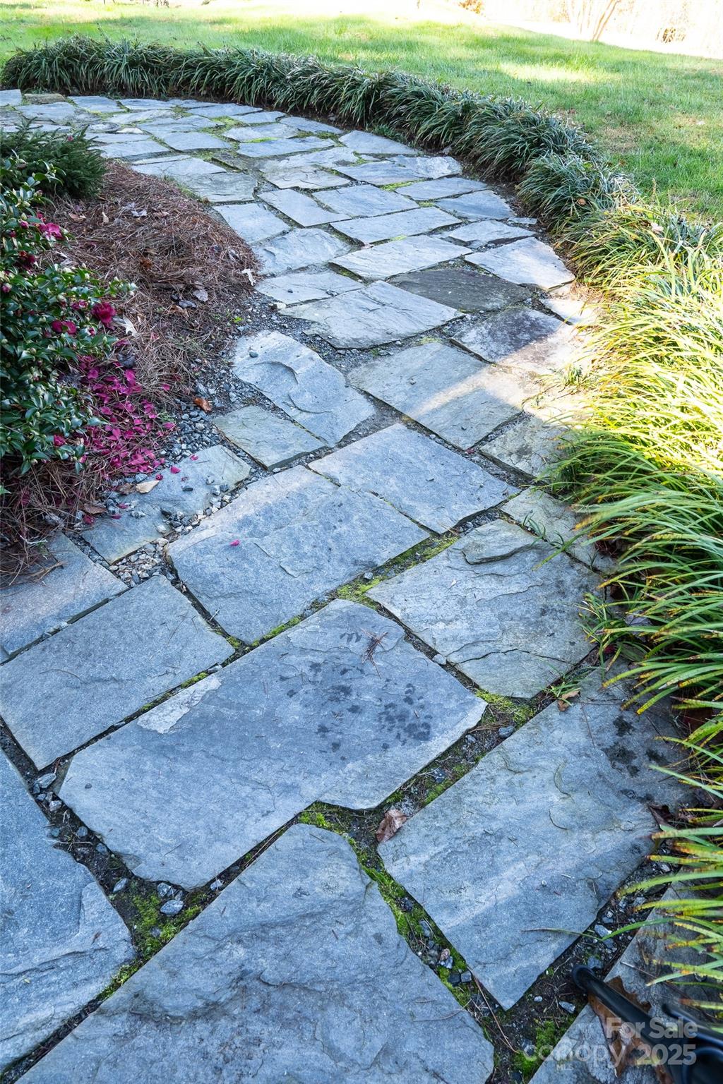 350 Island Cove Road