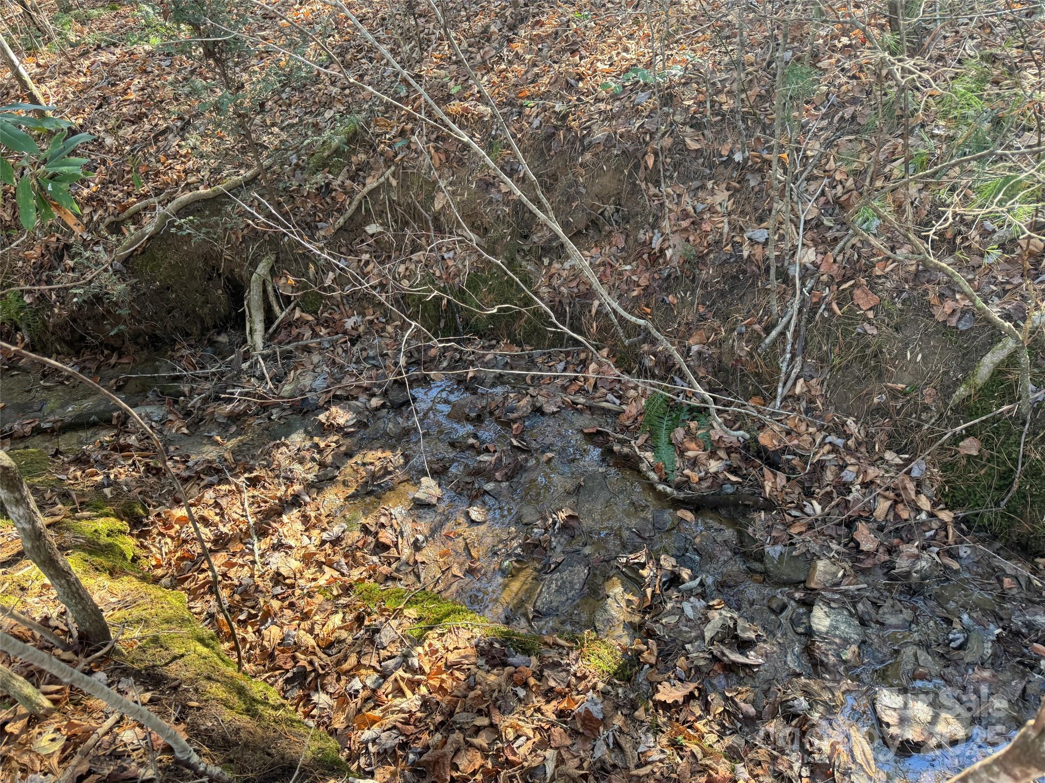 000 Small Creek Road