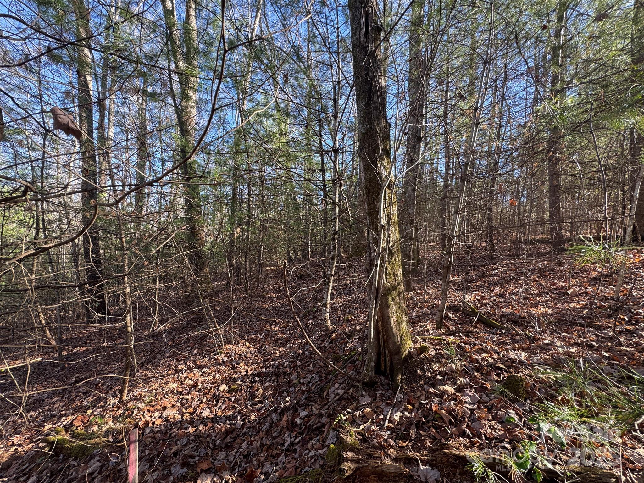 000 Small Creek Road